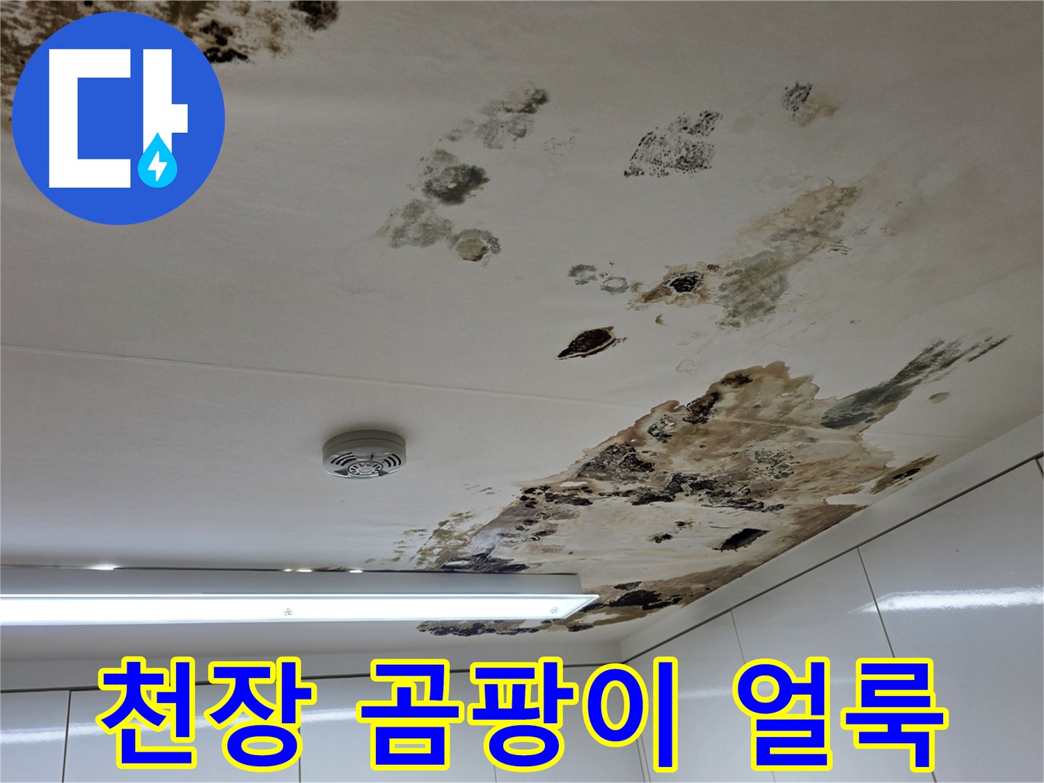 천장-석고보드-곰팡이와-물샘-흔적