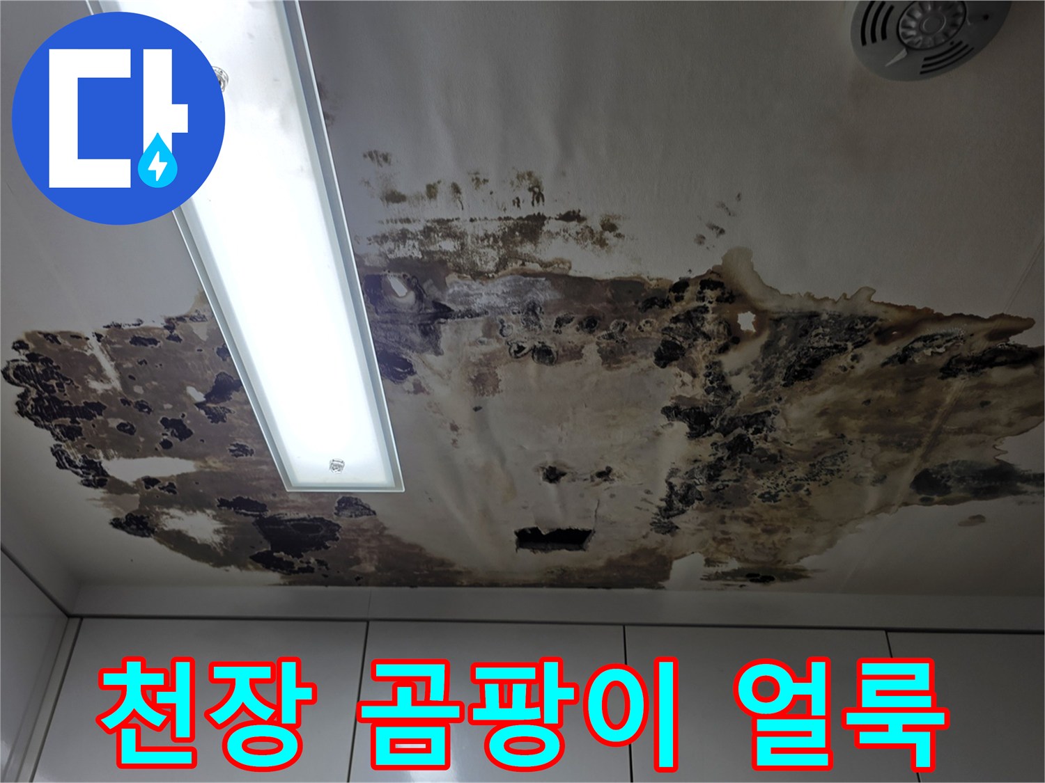 천장-석고보드-부식-및-곰팡이-발생-상태
