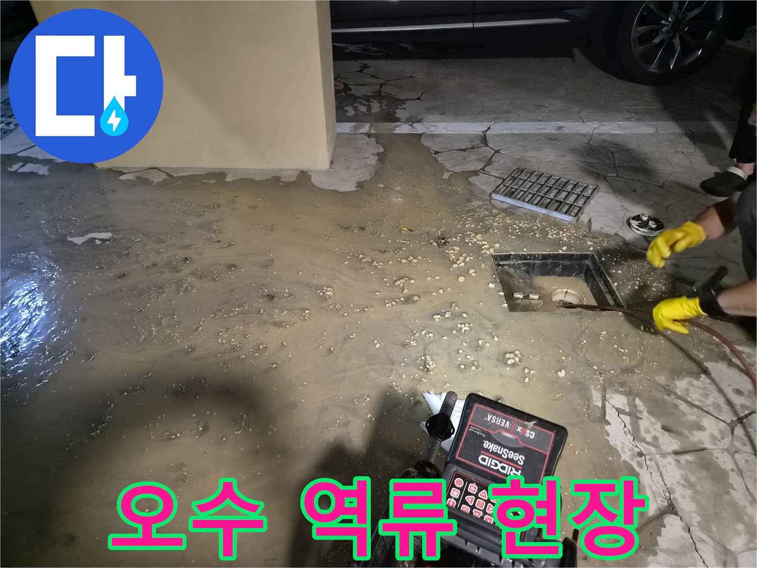 바닥에-차오른-배수구-역류-상태