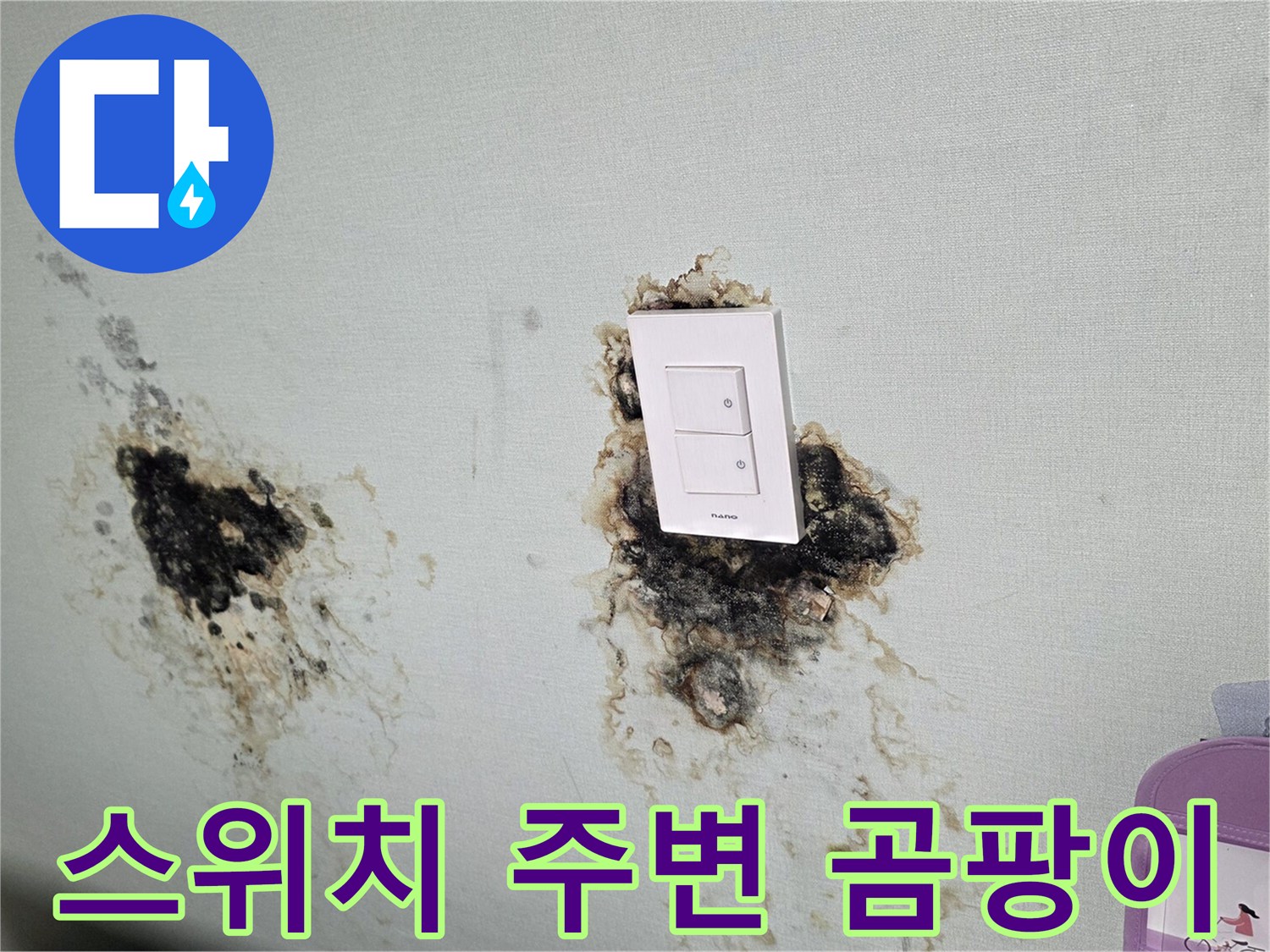 벽면 스위치-누수로 인해 곰팡이가 번진 벽지 모습