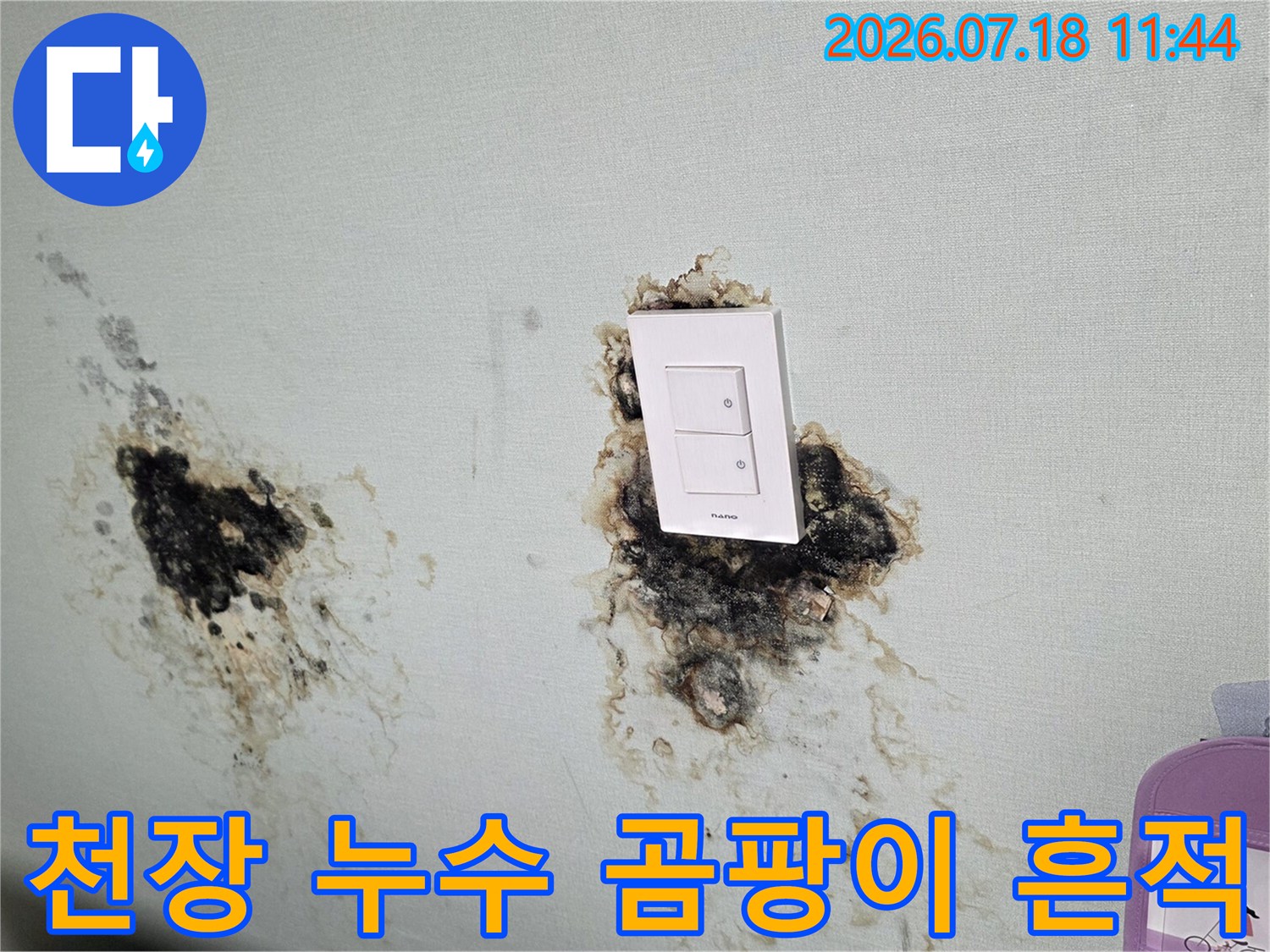 화장실 천장 벽면에 발생한 누수로 인한 변색 및 곰팡이 피해
