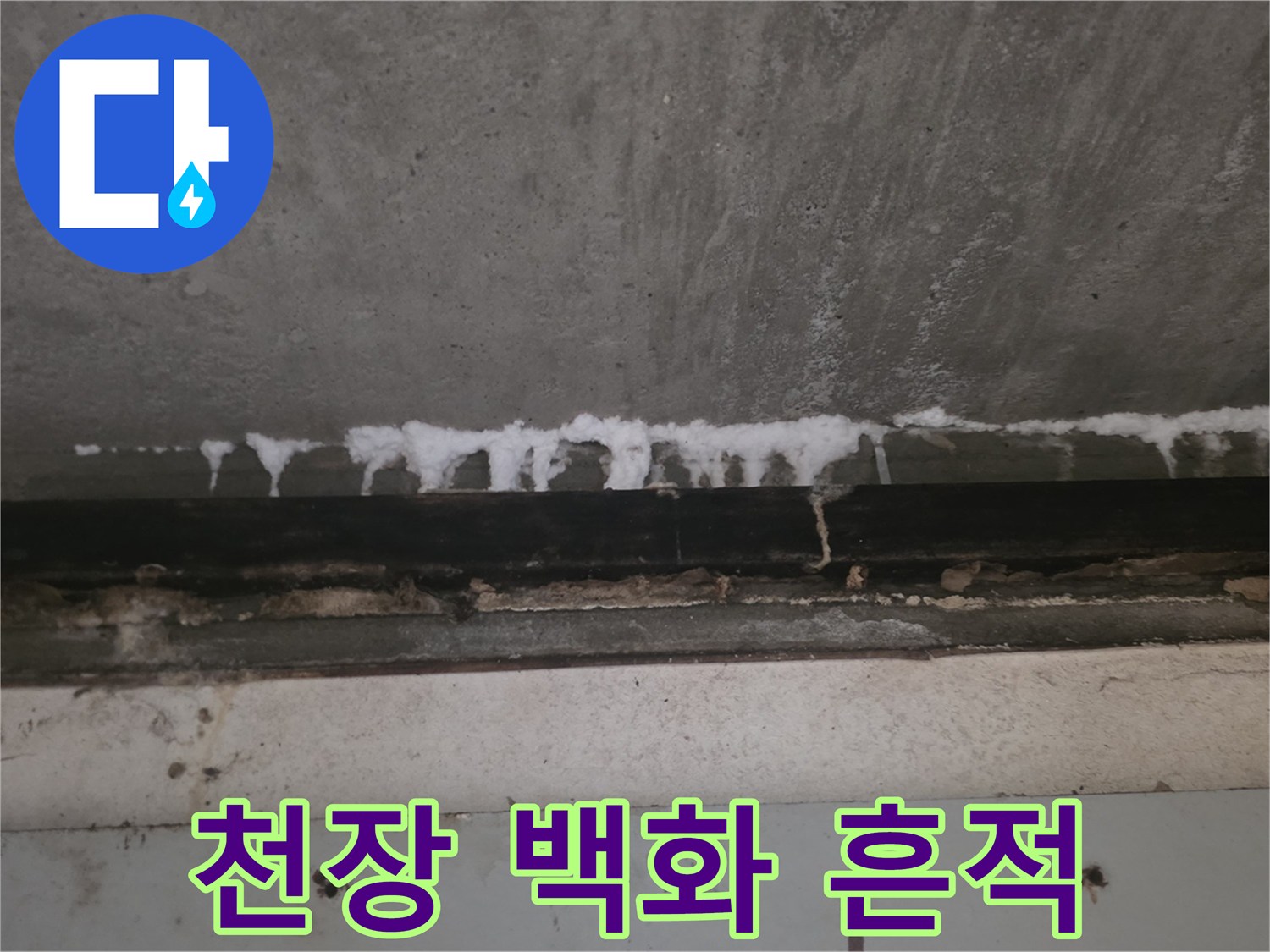슬라브-콘크리트-면의-하얀색-백화물