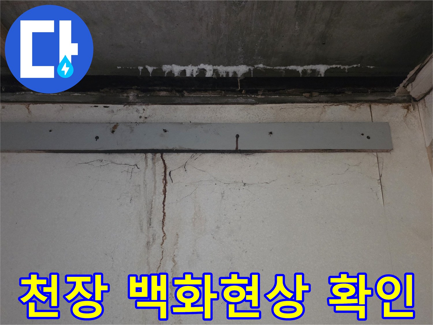화장실-천장-슬라브-백화현상-및-석회물-고드름-상태