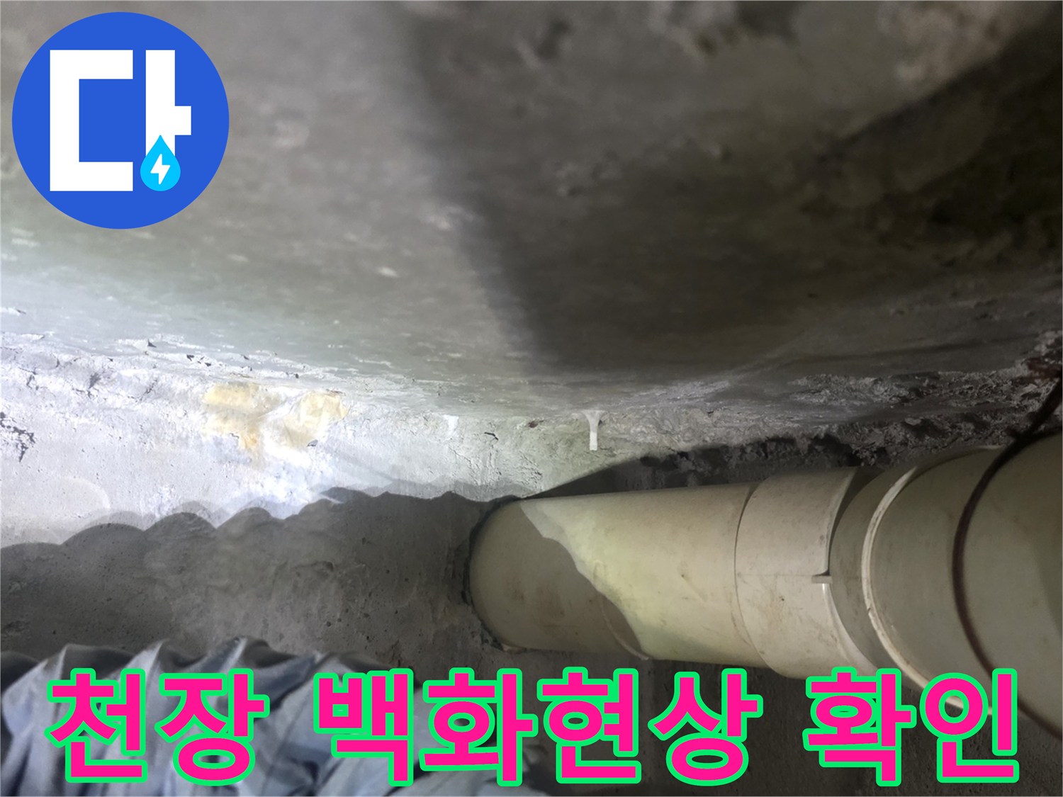 화장실 천장 슬라브에 발생한 하얀 백화 현상과 습기 상태