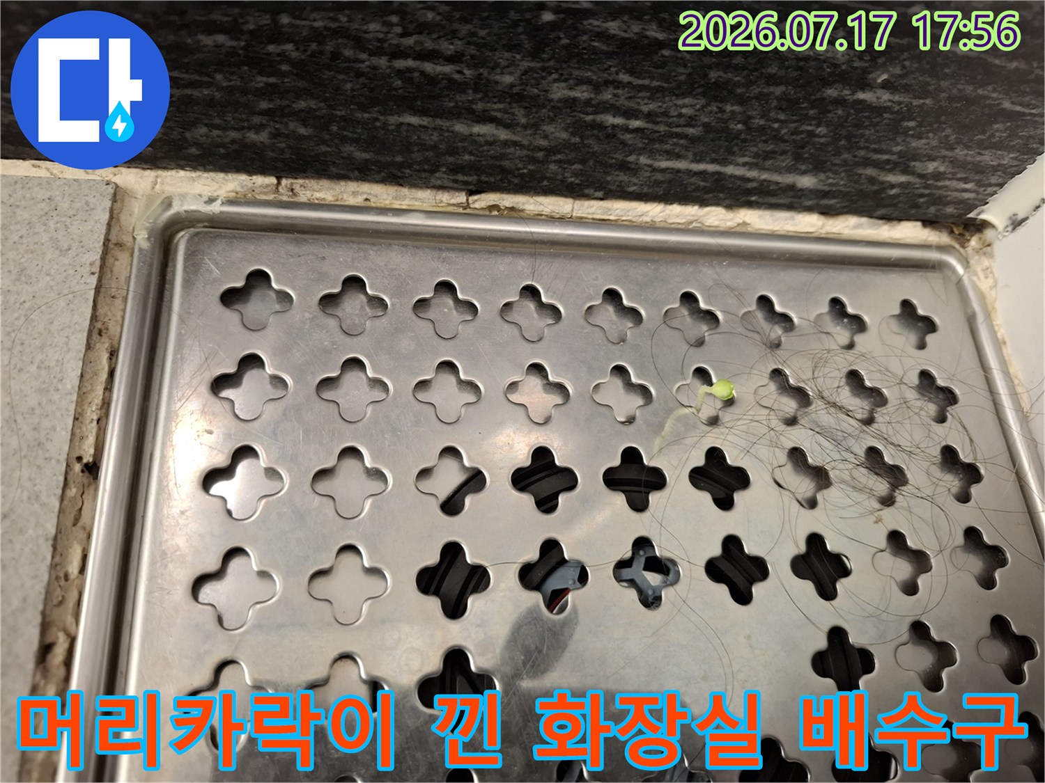 금속 재질의-화장실 바닥 하수구 덮개 위에 머리카락이 엉켜 있는 모습