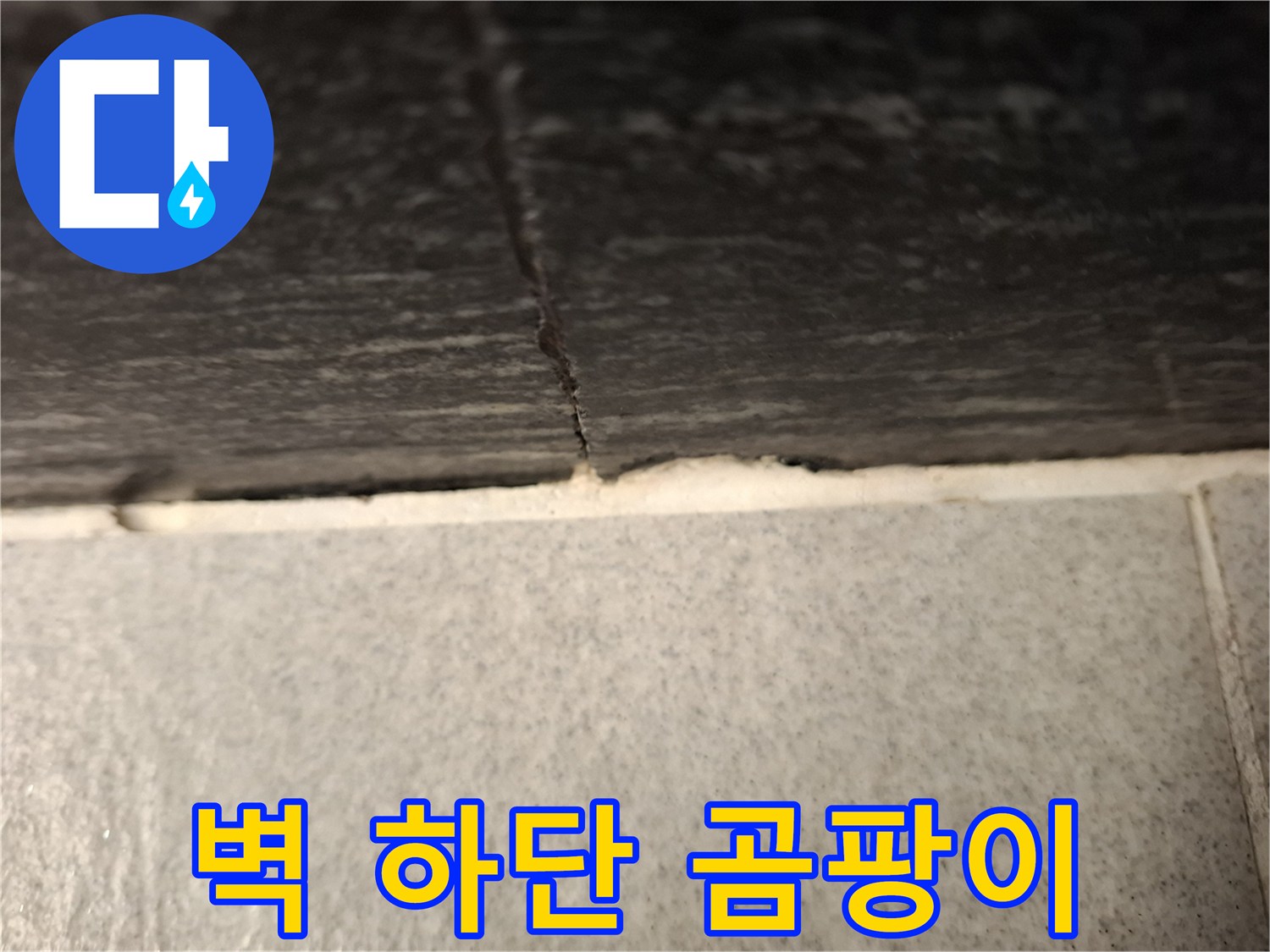 벽면-하단부의-축축한-습기와-곰팡이-흔적