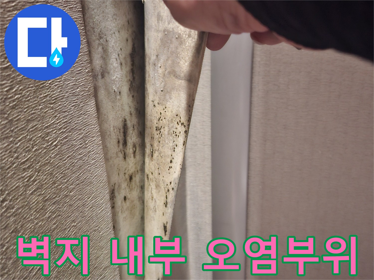 벽지를 걷어낸 후 보이는 곰팡이와 습기 흔적