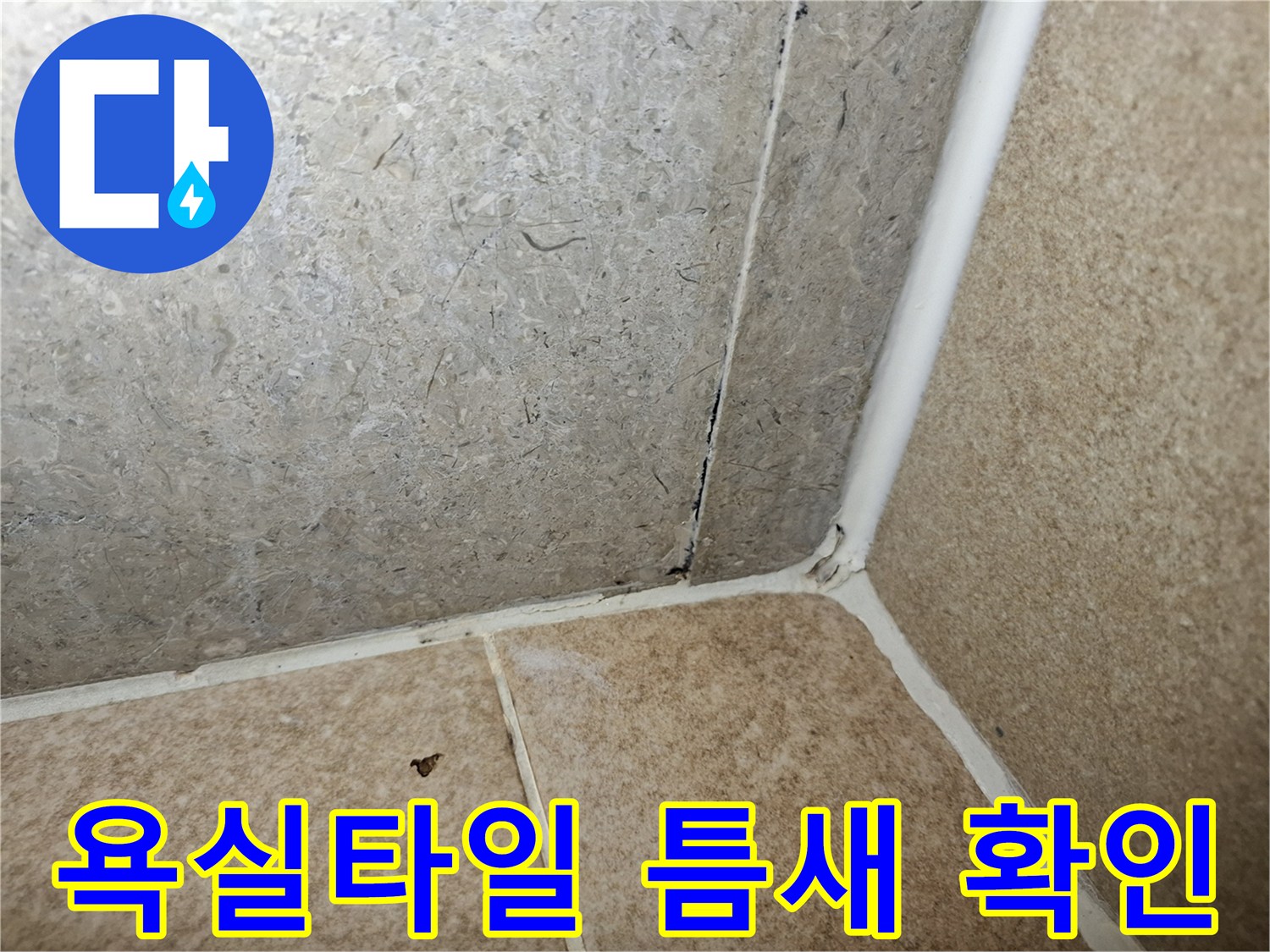 욕실-벽면과-바닥-타일-사이-균열-상태