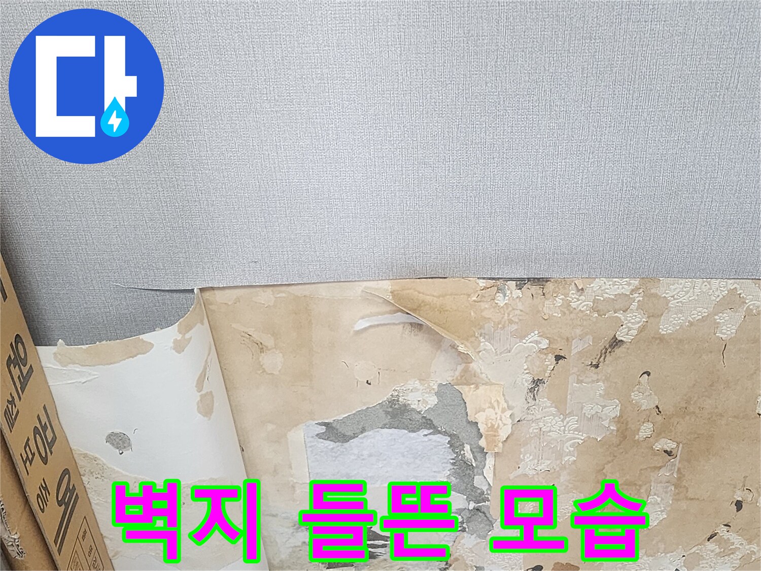 누수로 인해-벽지가 젖고 벗겨진 상태