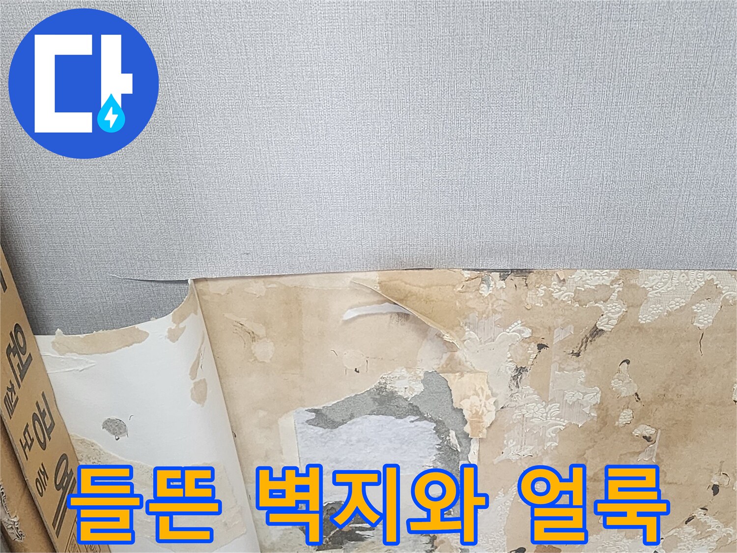 양천구 현장-벽지가 젖어 들뜨고 변색된 모습