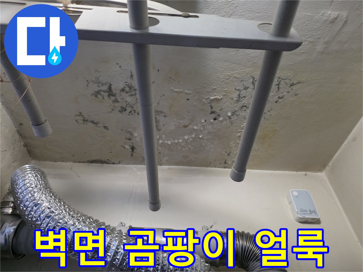 배관 주변에 나타난 심한 벽면 변색 및 곰팡이 상태