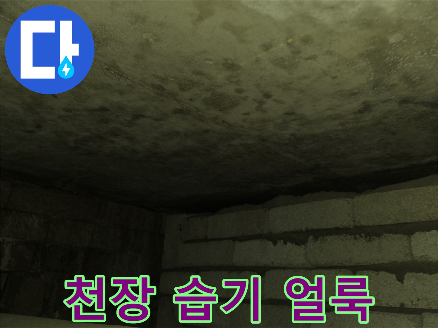 아랫집 화장실 천장 슬래브에 발생한 젖은 물자국과 습기 흔적