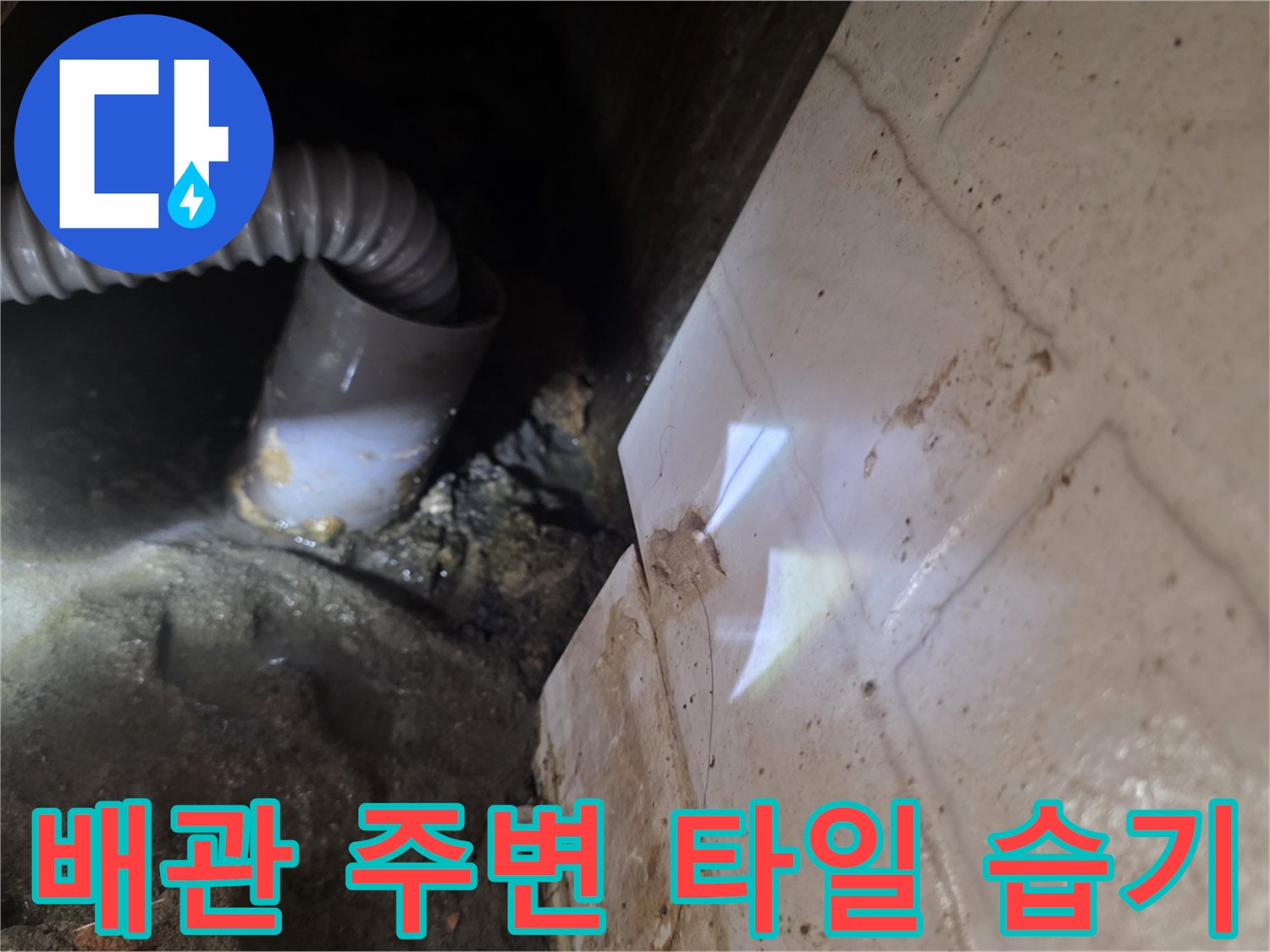 젖어있는-타일-벽면과-굴곡진-하수구-연결-배관