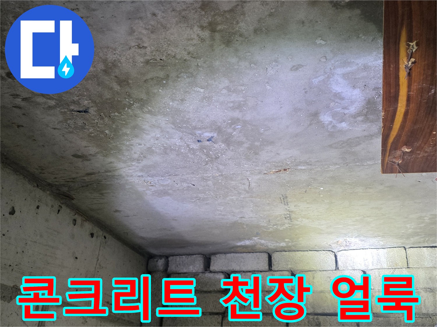 천장-슬래브-표면의-물자국과-습기-오염-상태