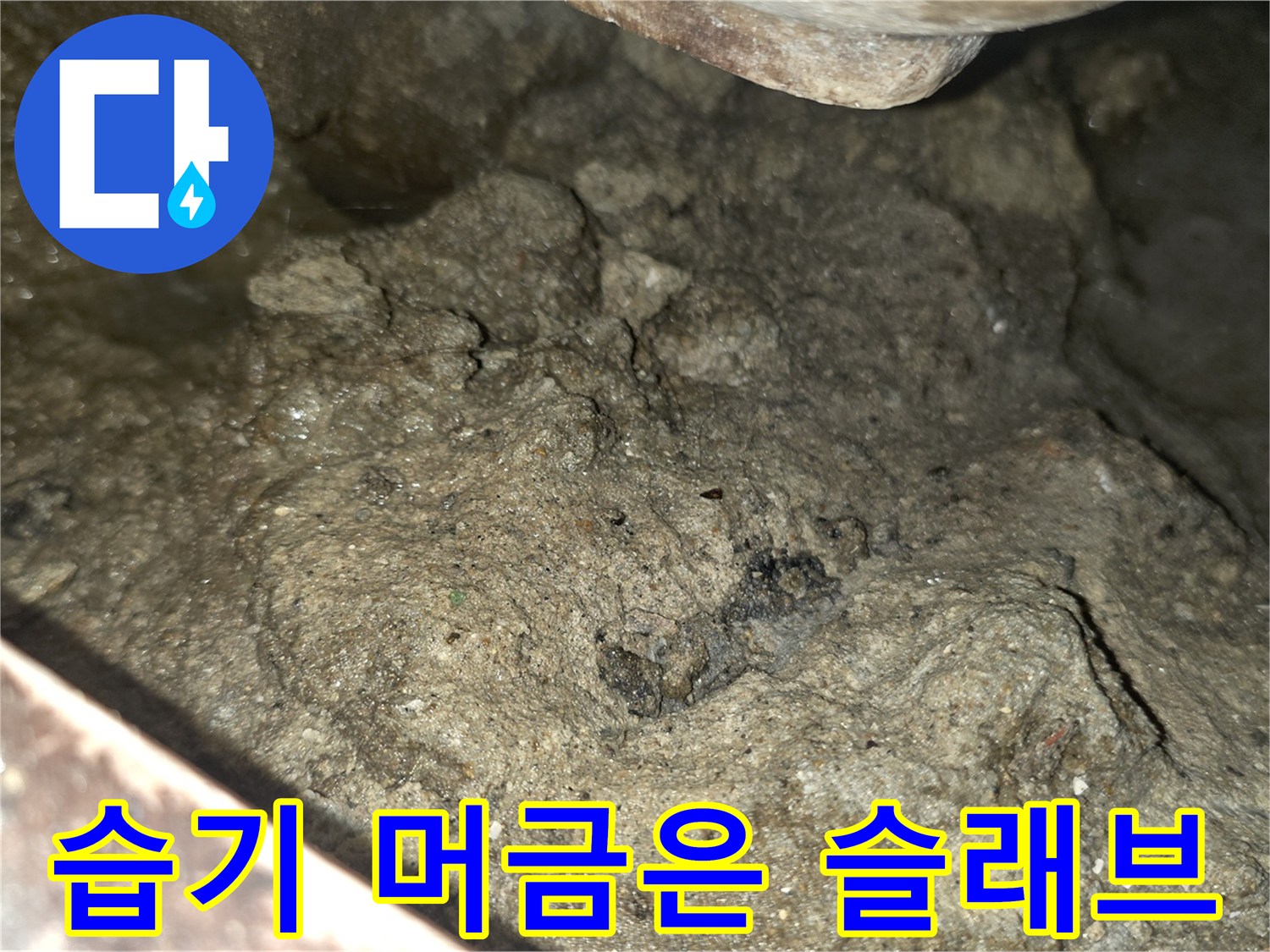콘크리트-틈새로-스며든-물기와-습기-상태