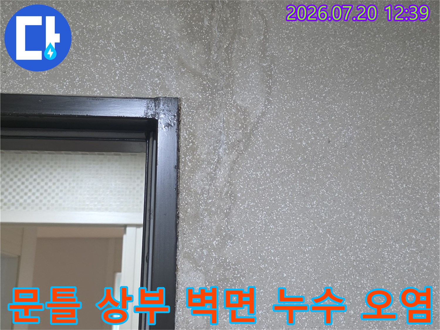 회색 실크벽지와 검은색 문틀 경계 지점에 발생한 습기 얼룩-이미지