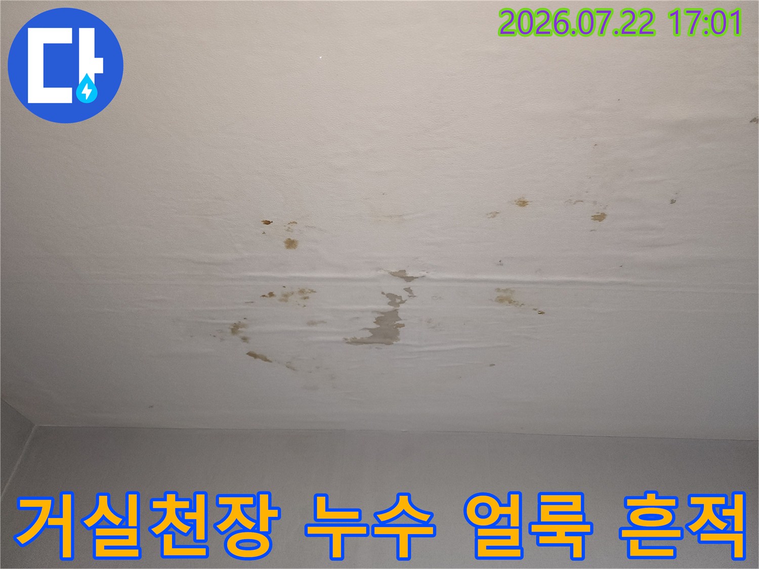 거실 천장 벽지에 발생한 누수 얼룩과 박리 현상