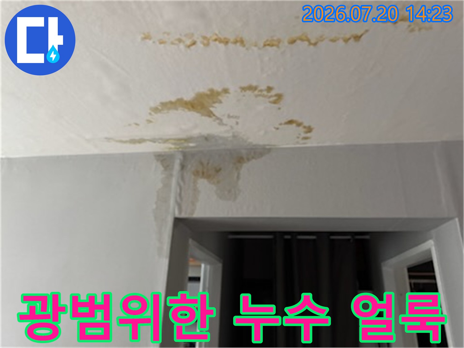 거실 천장 상부에 광범위하게 퍼진 물때와 수분 흔적