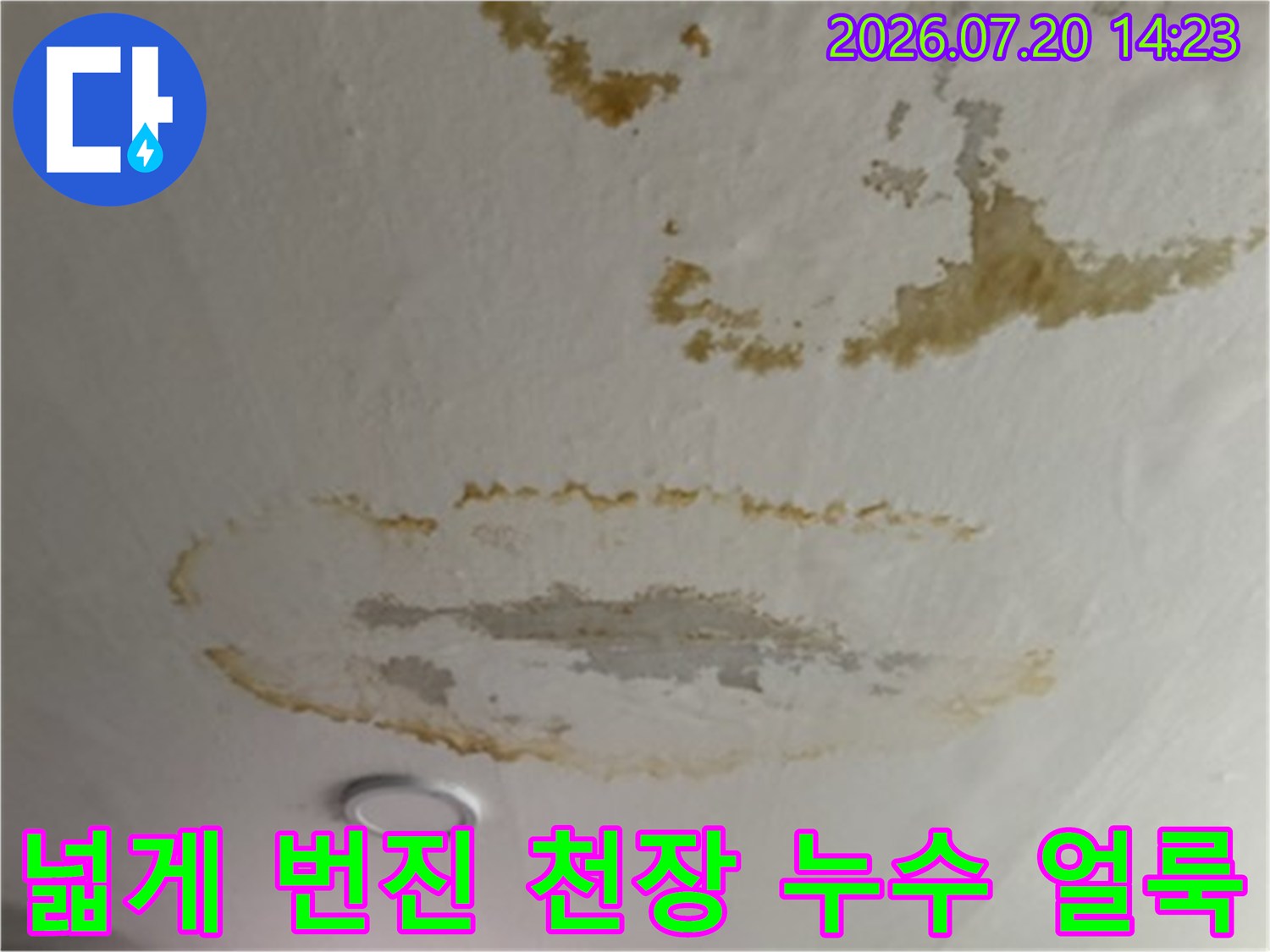 거실 천장의 광범위한 누수 흔적과 부식된 마감재 상태