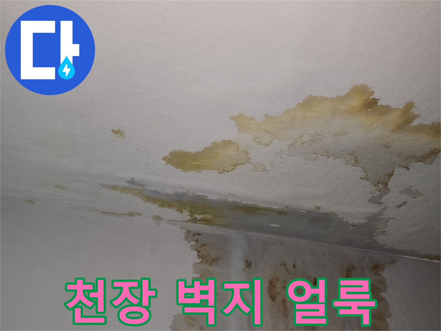 아파트-벽면-천장-누수-물자국-현황