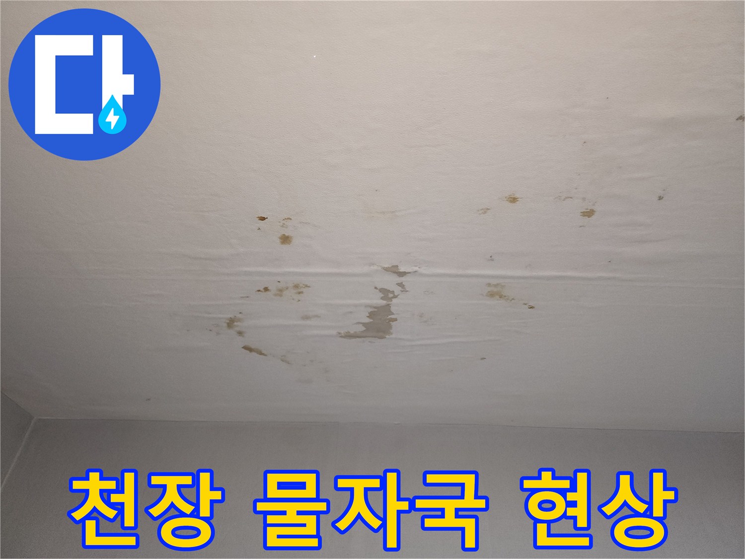 아파트 천장-누수로 인해 얼룩진 벽지 상태