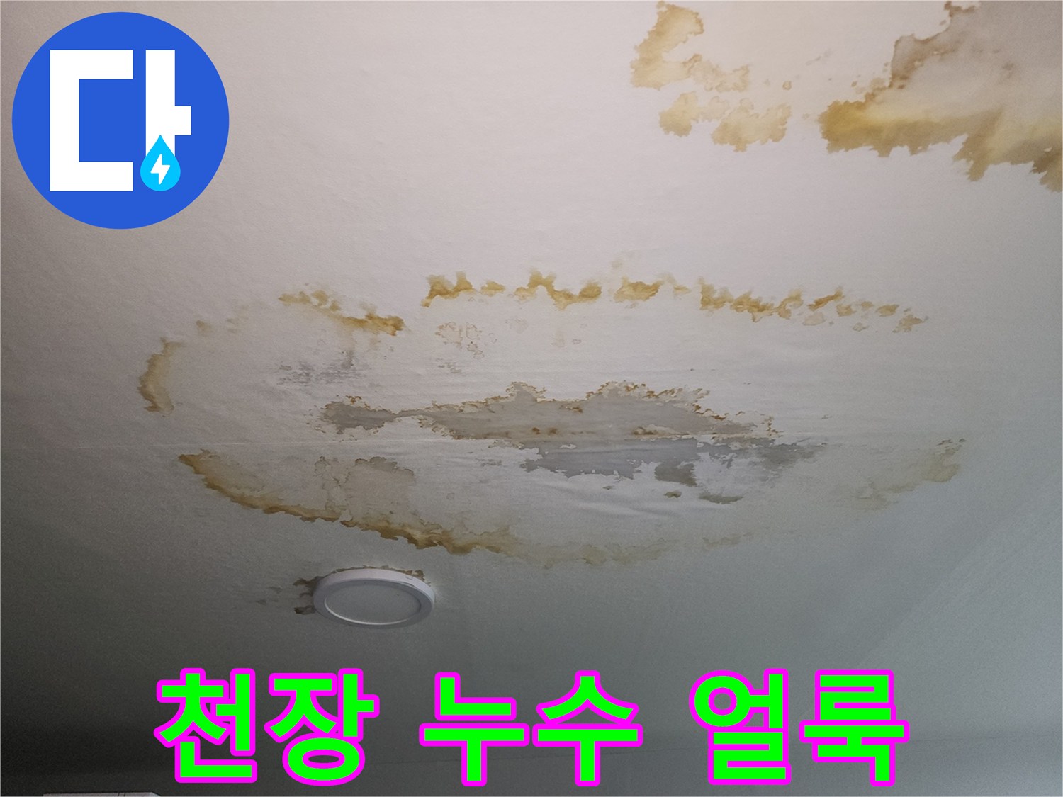 황색으로 변한 천장 누수 흔적 사진