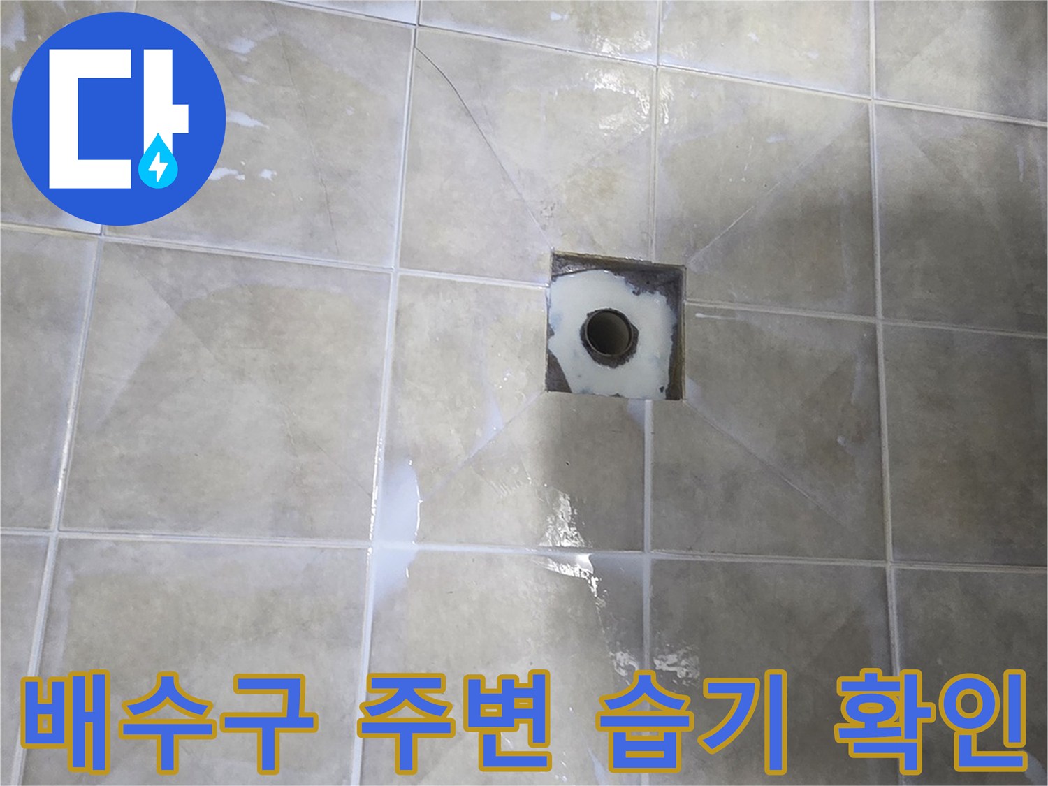 욕실 배수구 주변의 타일 틈새와 물기가 보이는 현장 사진입니다.
