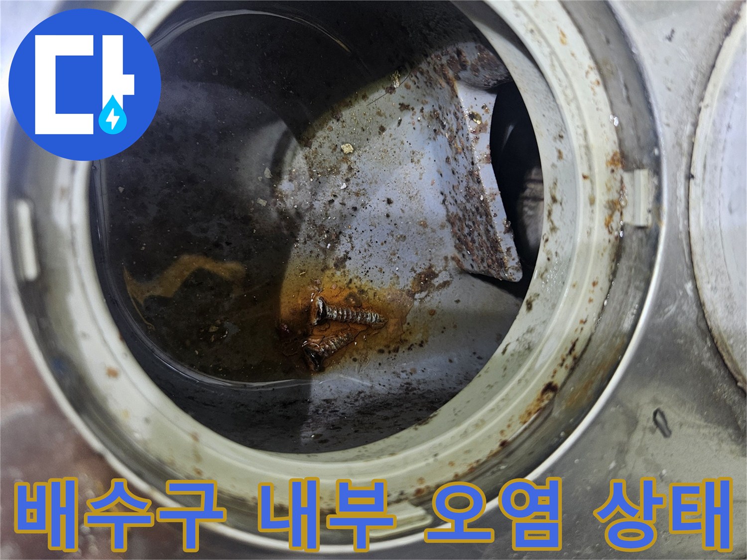 우수관 배수구-내부에 고인 물과 이물질 확인 과정