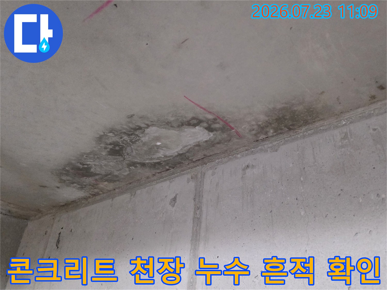 짙은 색으로 변색된 천장의 콘크리트 면과 위치를 나타내는 분홍색 표시선-모습