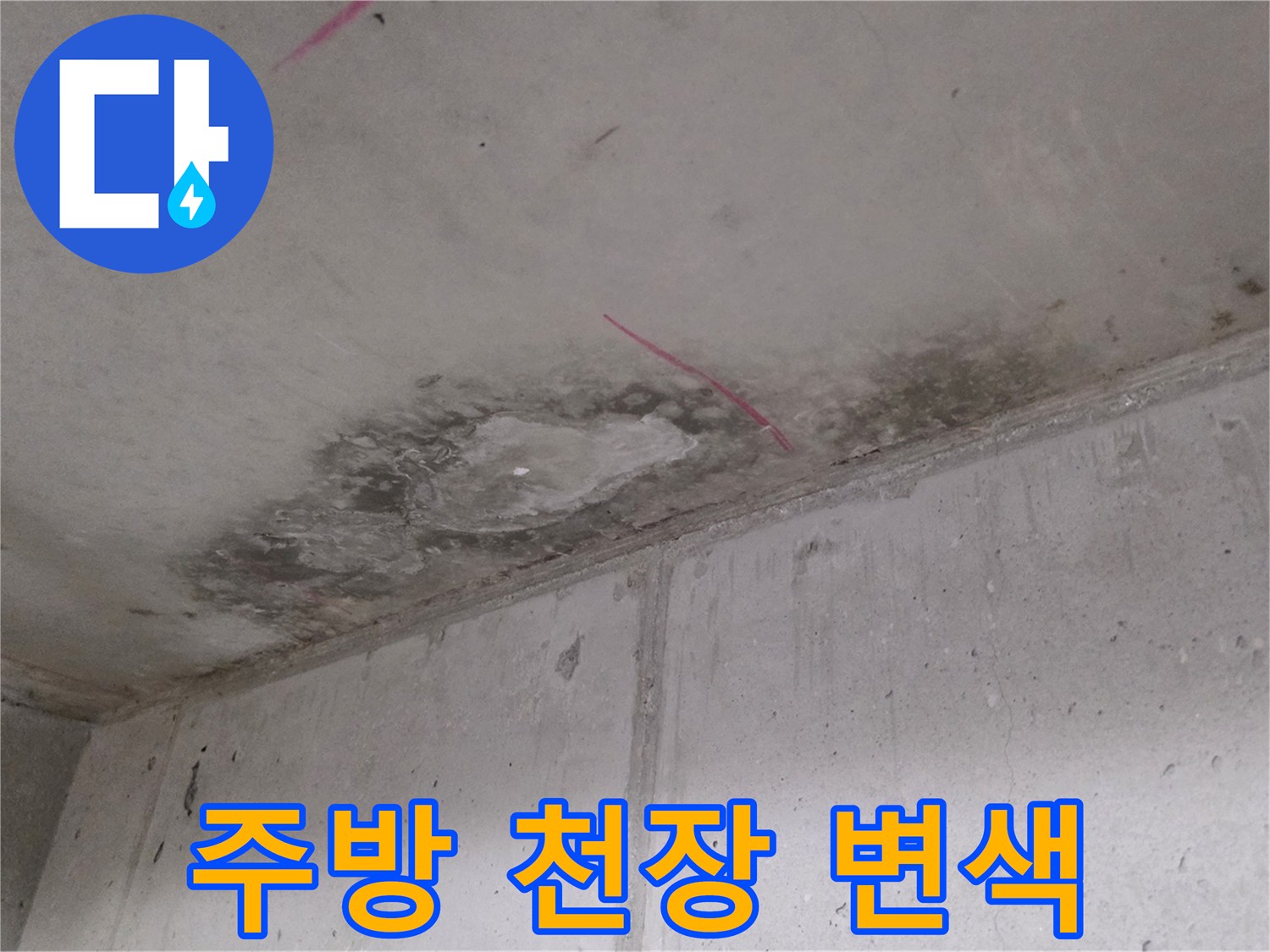 천장 콘크리트 면의 젖은 부분과 습기로 인한 변색 부위