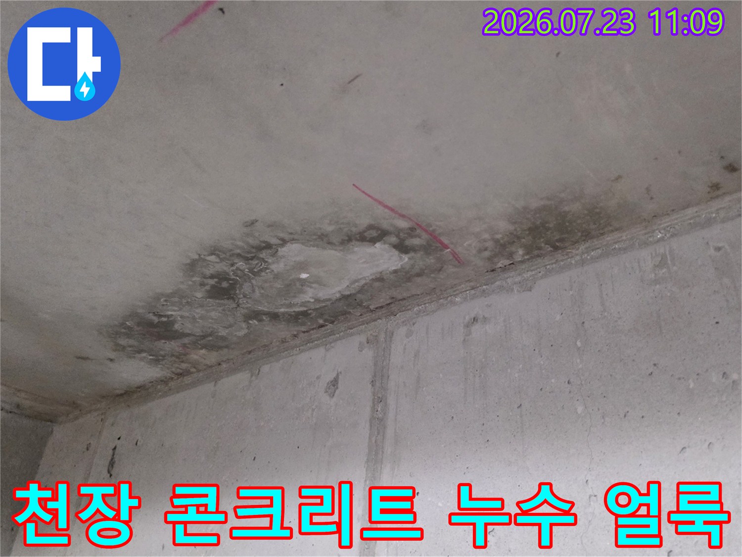 콘크리트 천장에 발생한 어두운 색의 누수 얼룩과 분홍색 표시선-현장 사진