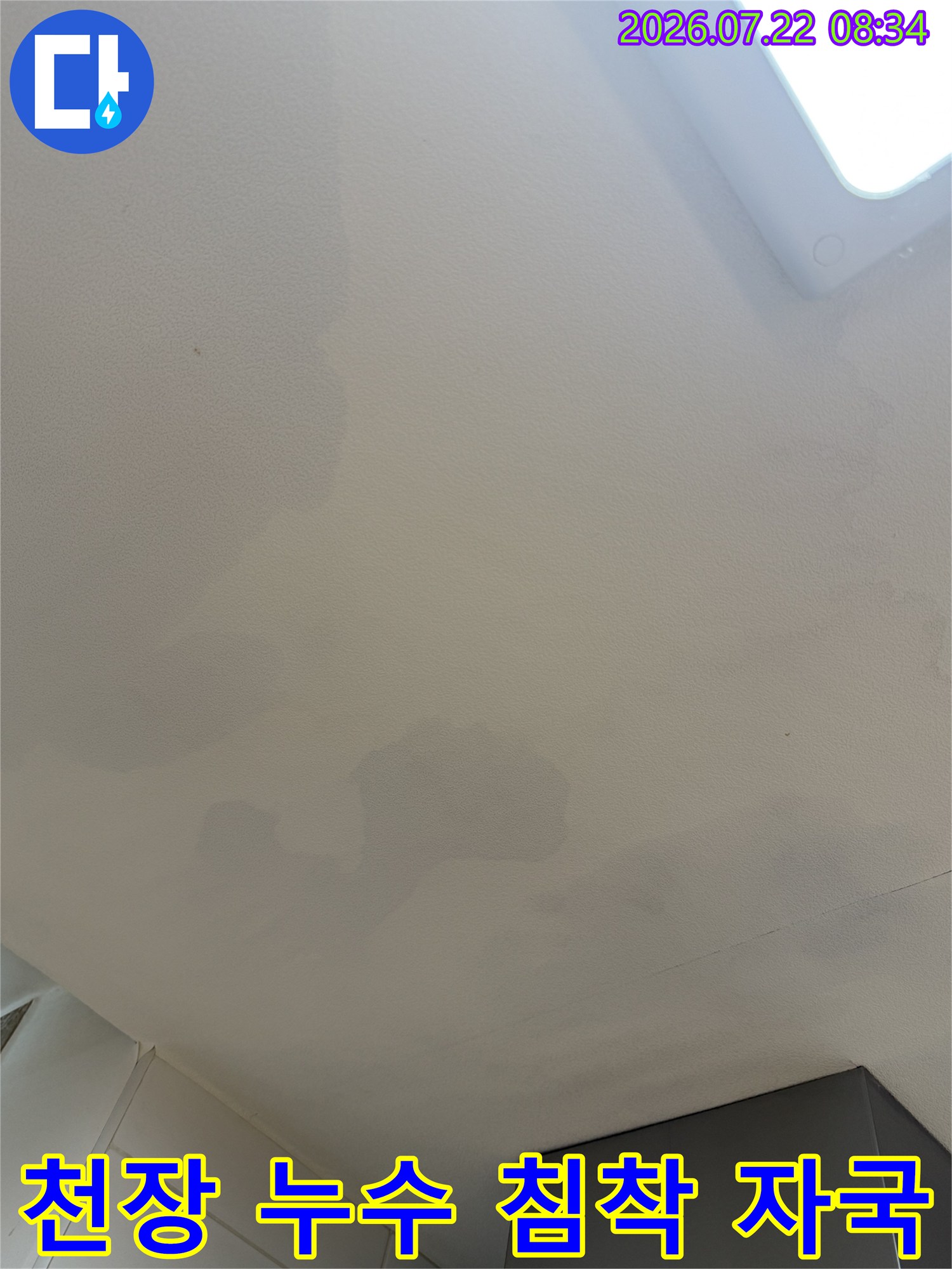 흰색 천장에 물이 스며들어 생긴 불규칙한 모양의 회색 얼룩-근접