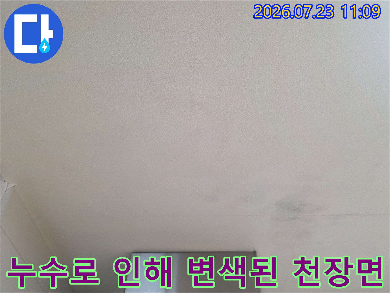 흰색 천장에 발생한 불규칙한 모양의 누수 얼룩과 습기 흔적