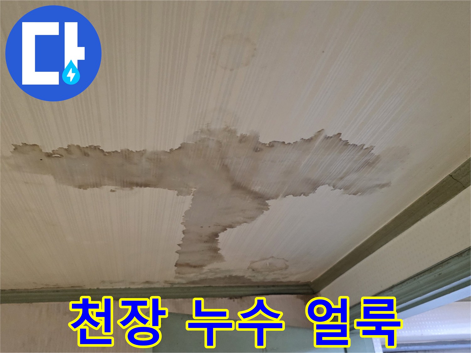 성북구 정릉동 아파트 천장에 발생한 커다란 물 얼룩 현황