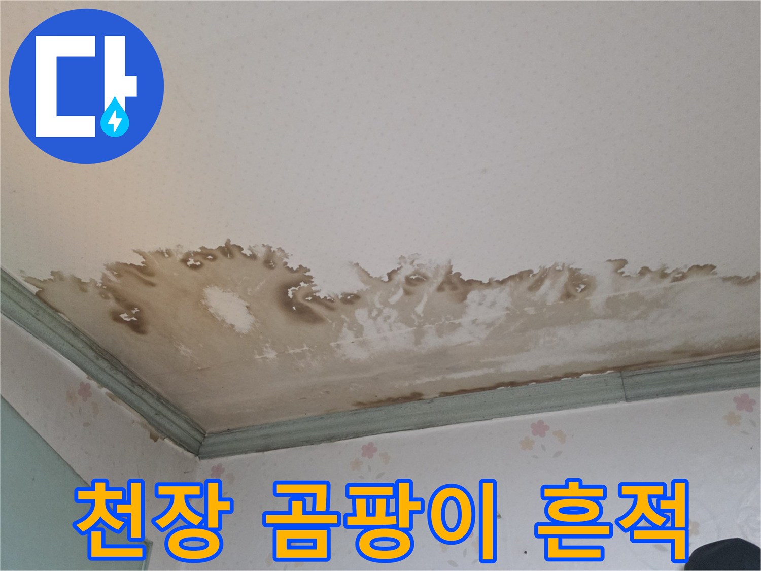 천장 가장자리를 따라 번져있는 곰팡이와 습기 흔적