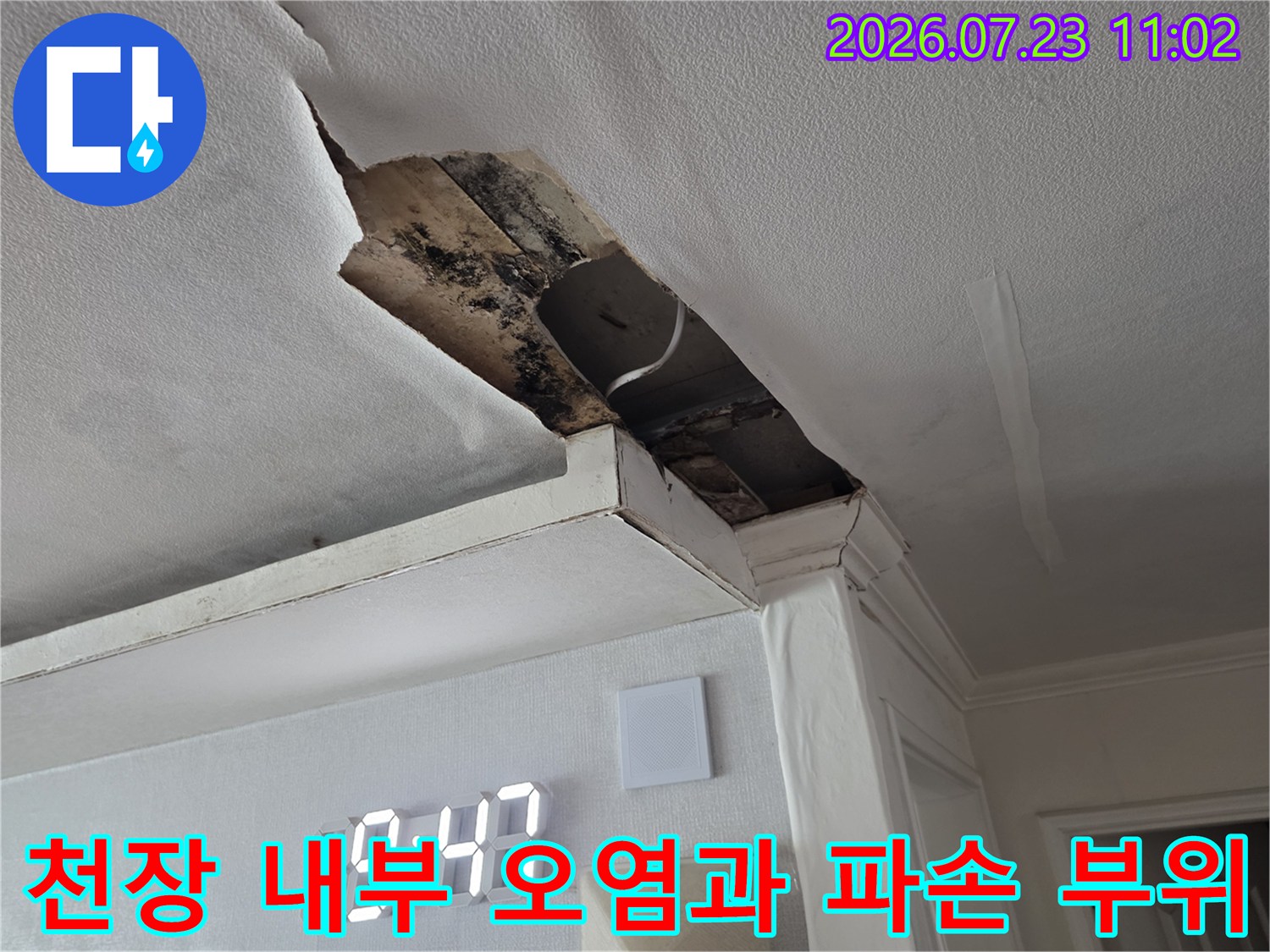 습기로 인해 색이 변하고 뜯겨나간-천장 마감재와 내부 구조물