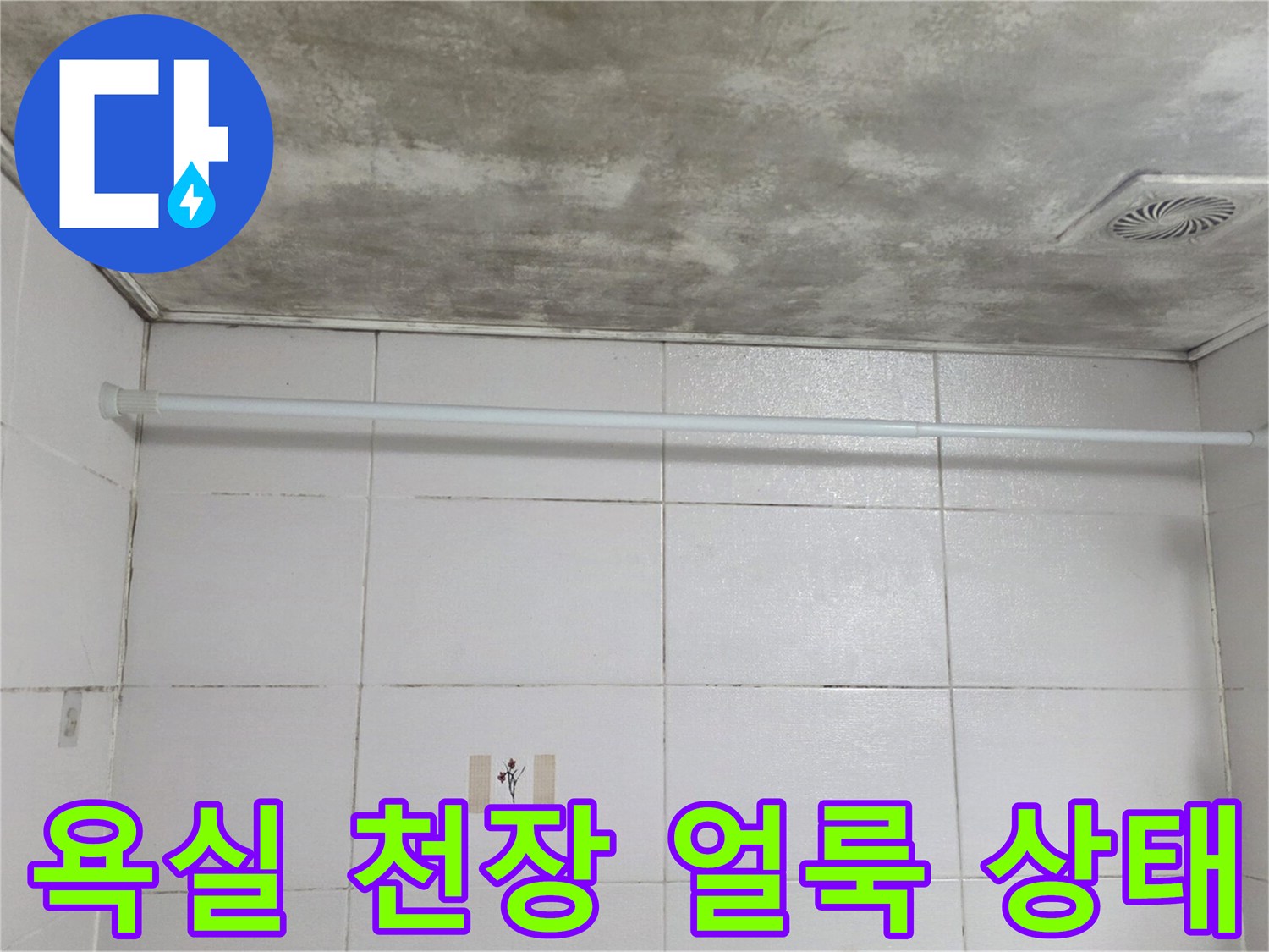 마포구 화장실 천장-넓게 퍼진 습기 흔적과 곰팡이 자국