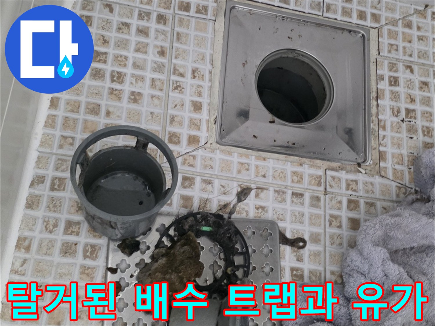 배수구-트랩-분리-후의-배관-주변-모습
