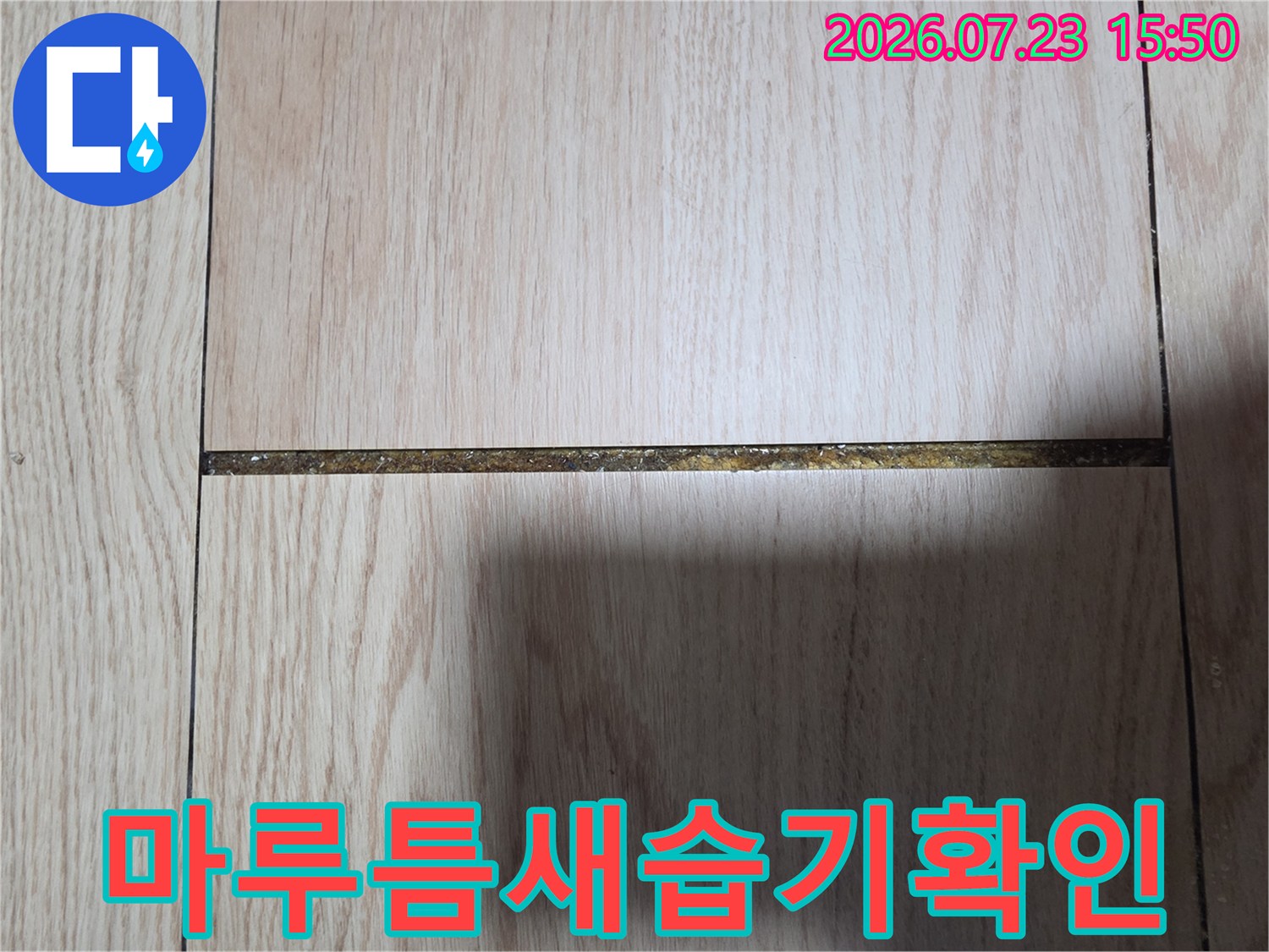 강마루-바닥재-사이의-틈새로-물기가-보이는-누수-현장-사진