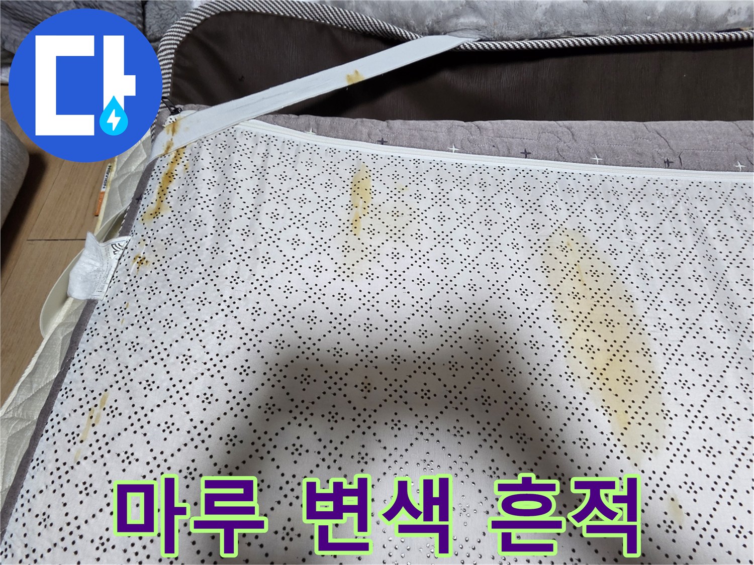 화장실 입구 마루의 습기 침투 흔적 - 누수 진단 과정
