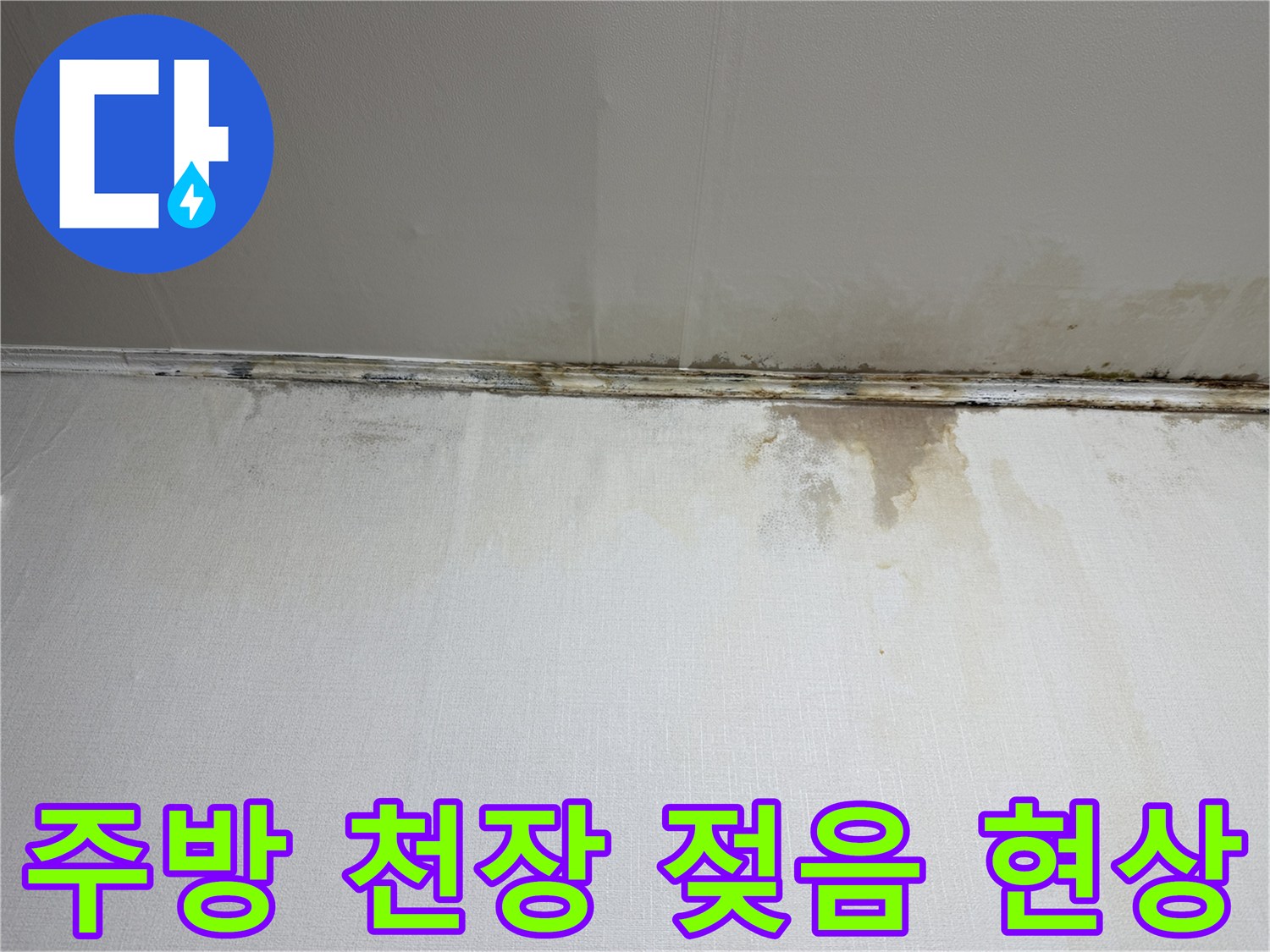 은평구 주방-천장 벽지 젖음 및 곰팡이 발생 상태