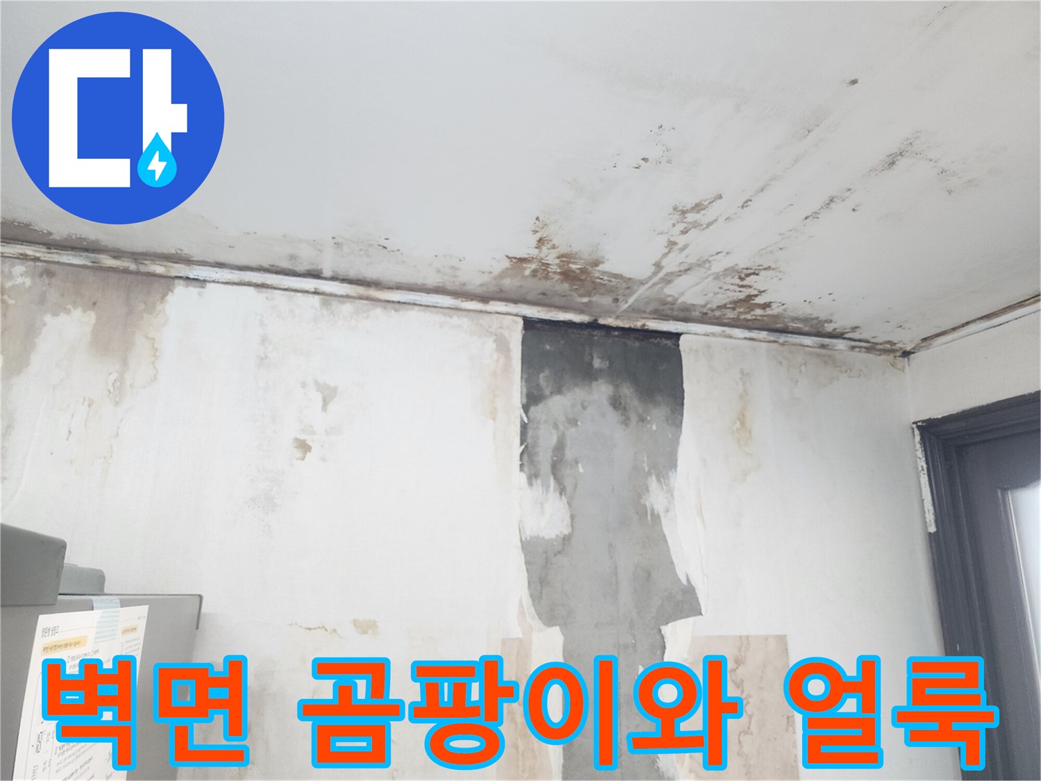 천장과 벽면 경계부-심하게 번진 곰팡이와 물자국