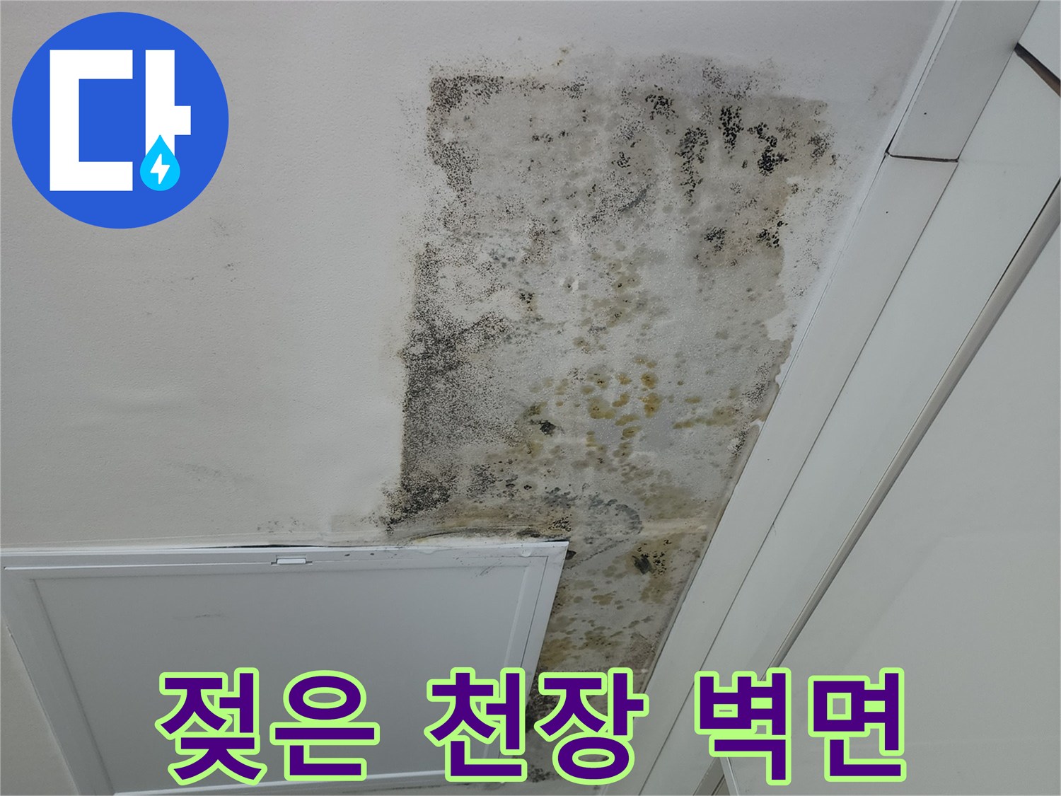 물에 젖어 변색된-천장 마감재와 곰팡이 흔적