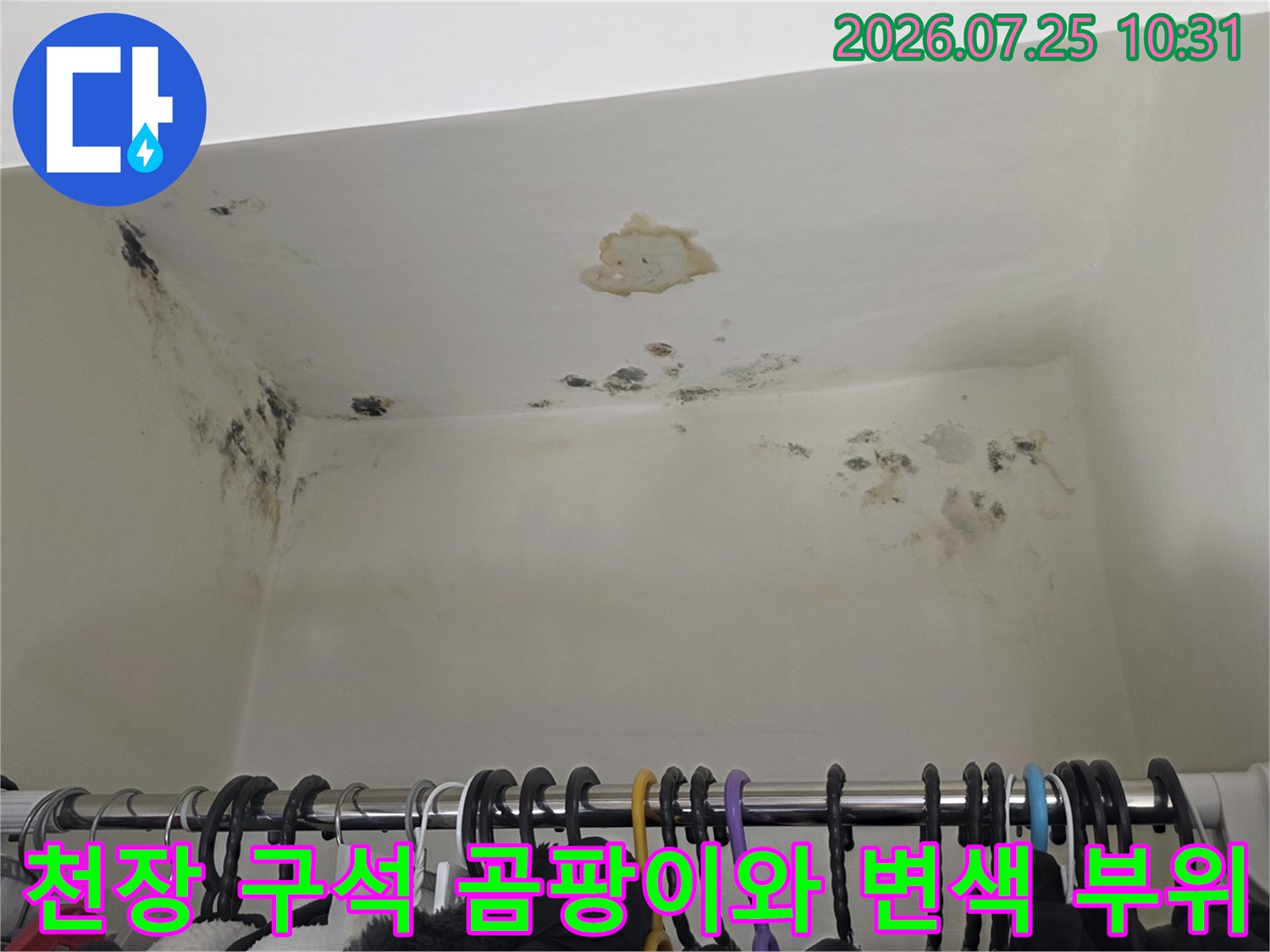 흰색 천장 마감재에 발생한 갈색 누수 자국-및 검은 곰팡이 군집