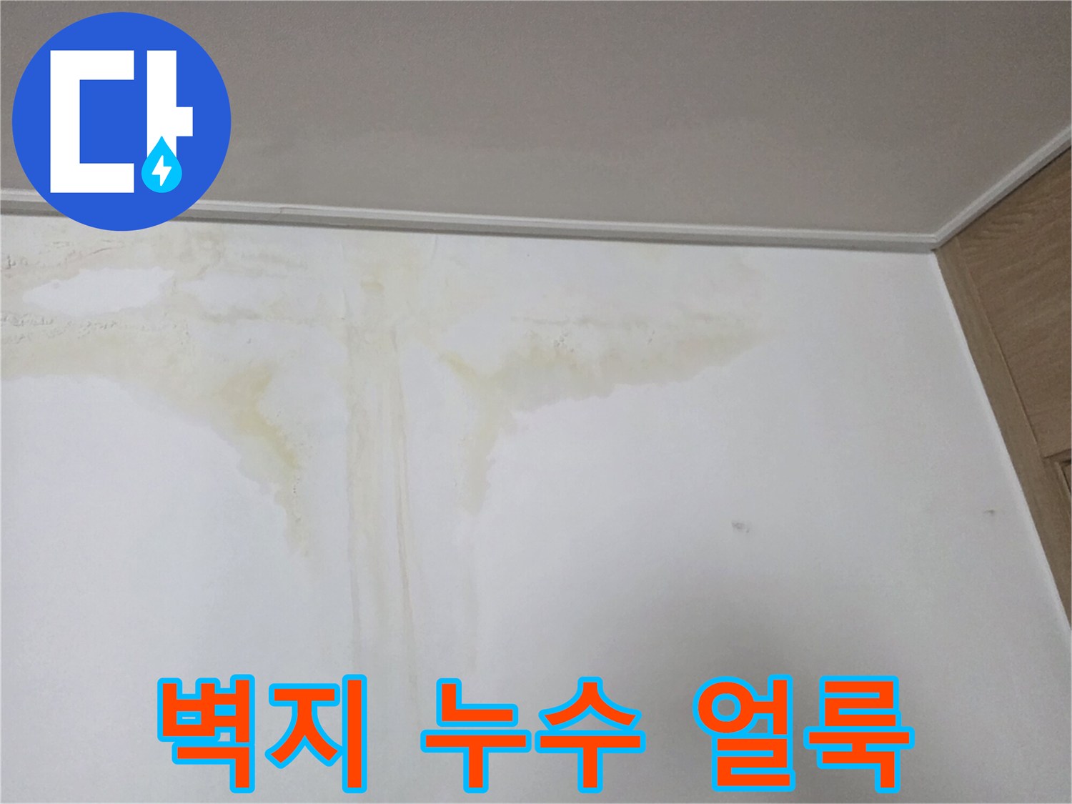 천장 몰딩 아래로 번진 누수 흔적과 젖은 벽지