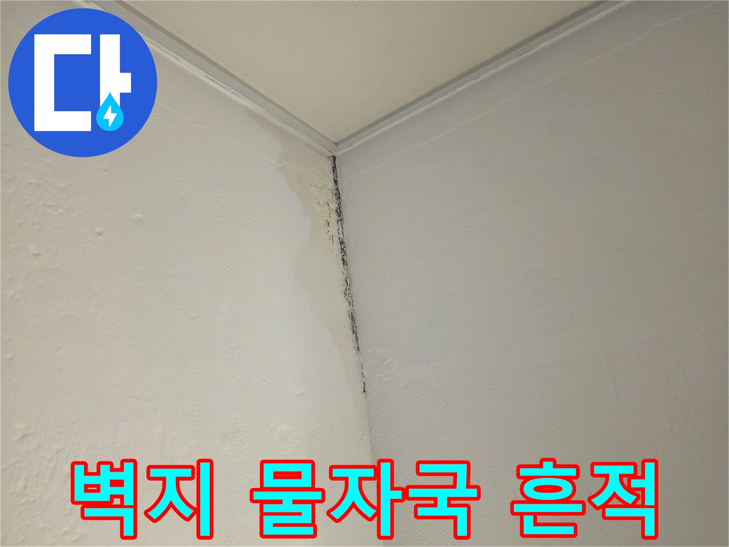 천장 몰딩 하단-습기로 인한 변색 부위