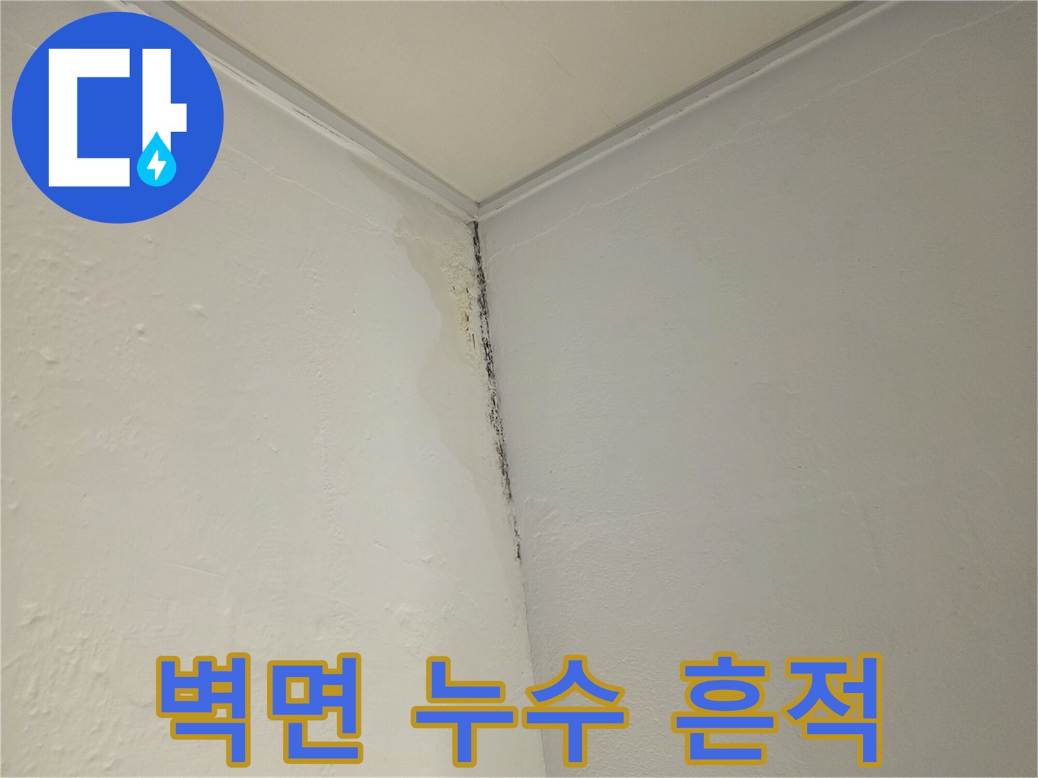 천장 하단 벽면-누수로 인한 곰팡이 및 변색 상태