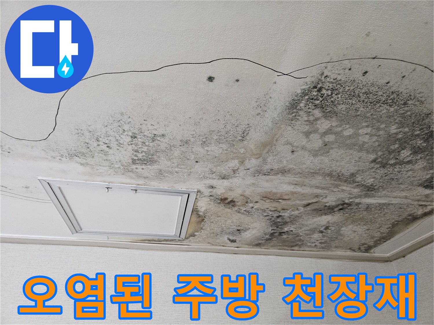곰팡이로 인해 변색되고 부식된 주방 천장 마감재 현황