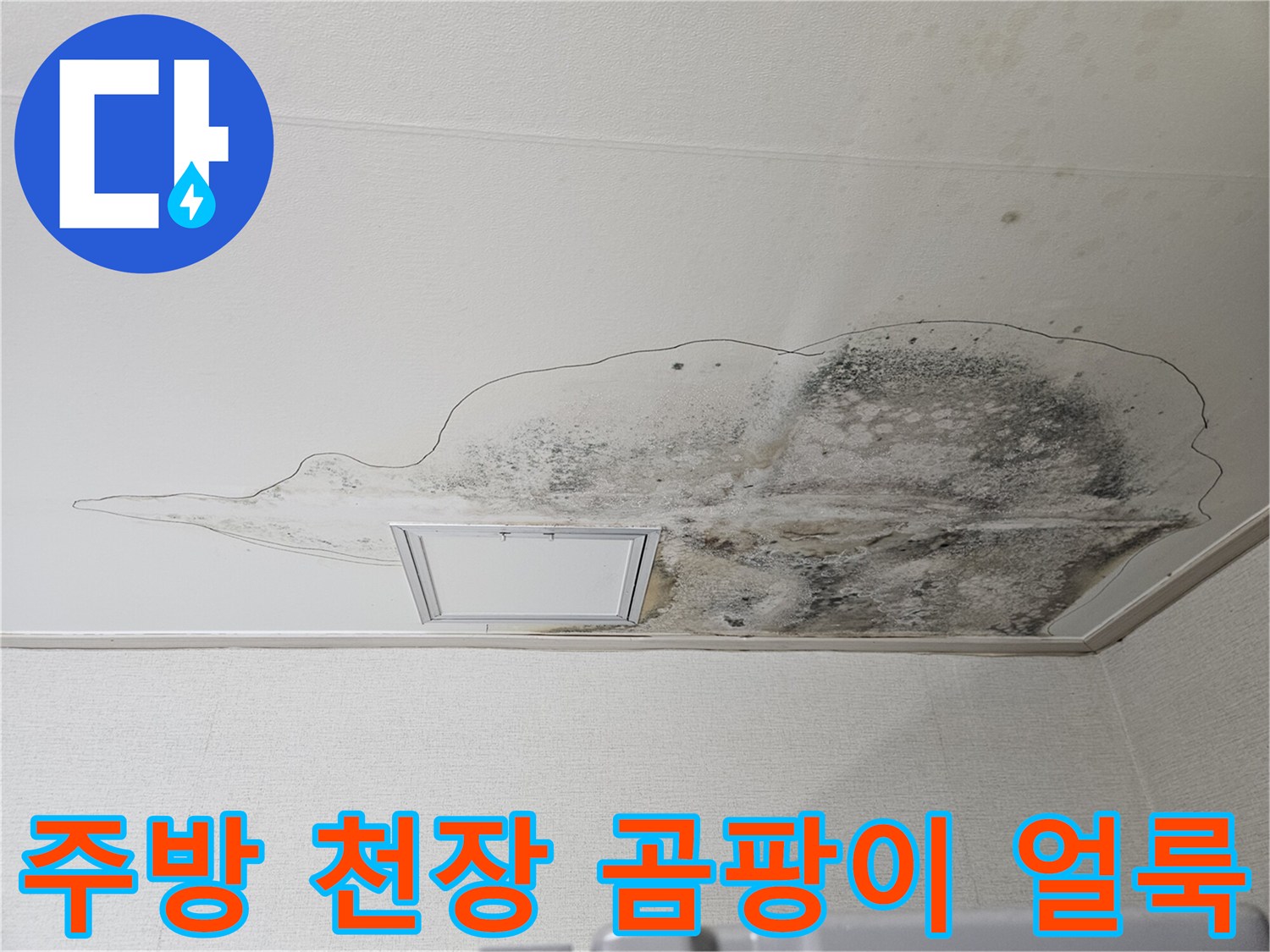 당진 읍내동 주방 천장에 발생한 광범위한 누수 흔적과 곰팡이 상태를 보여주는 사진입니다.