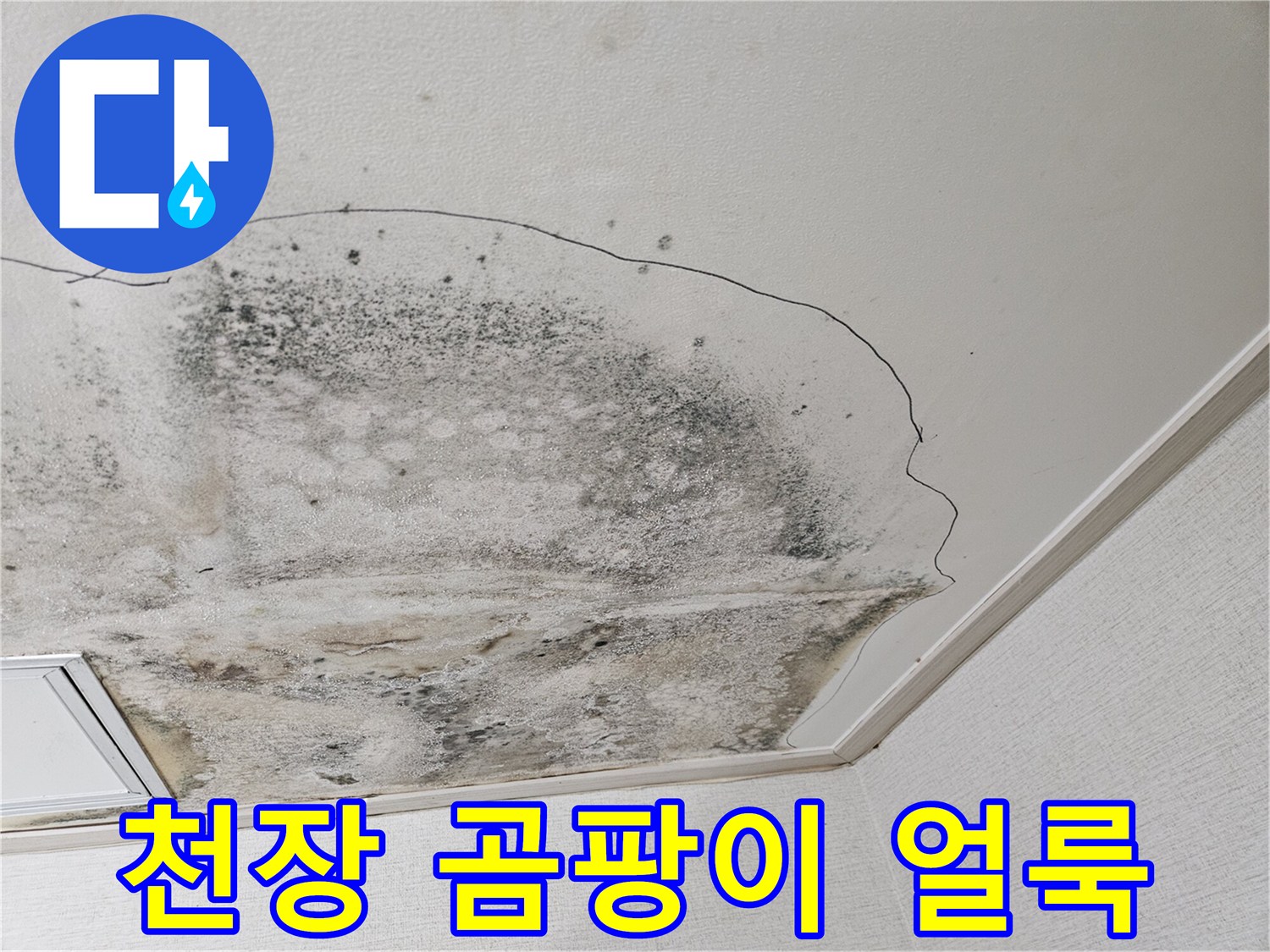 물샘 흔적이 있는 천장 - 곰팡이가 번져나간 주방 천장 마감재